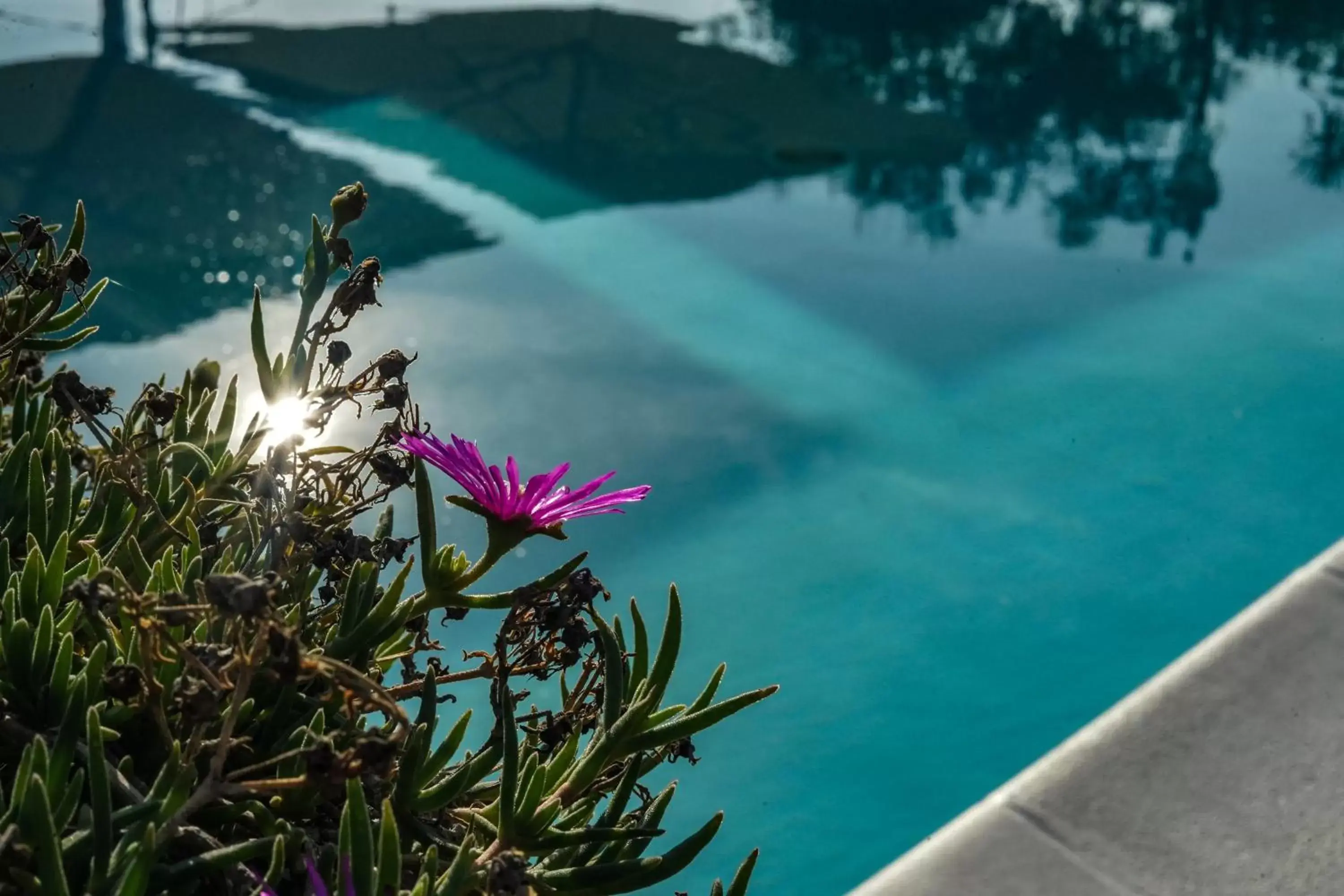 Swimming pool in Hotel Bellavista