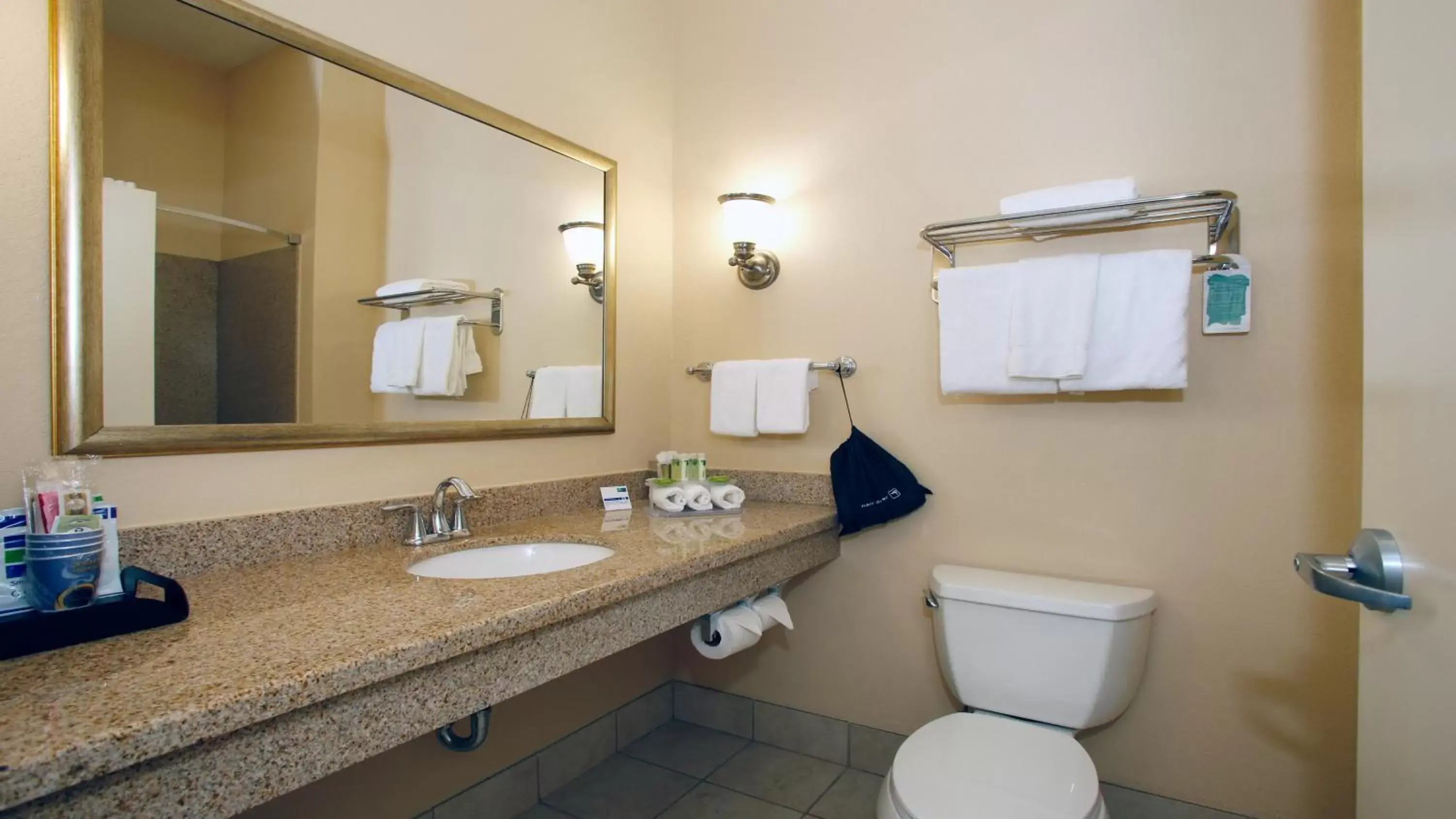 Bathroom in Holiday Inn Express Leland - Wilmington Area, an IHG Hotel