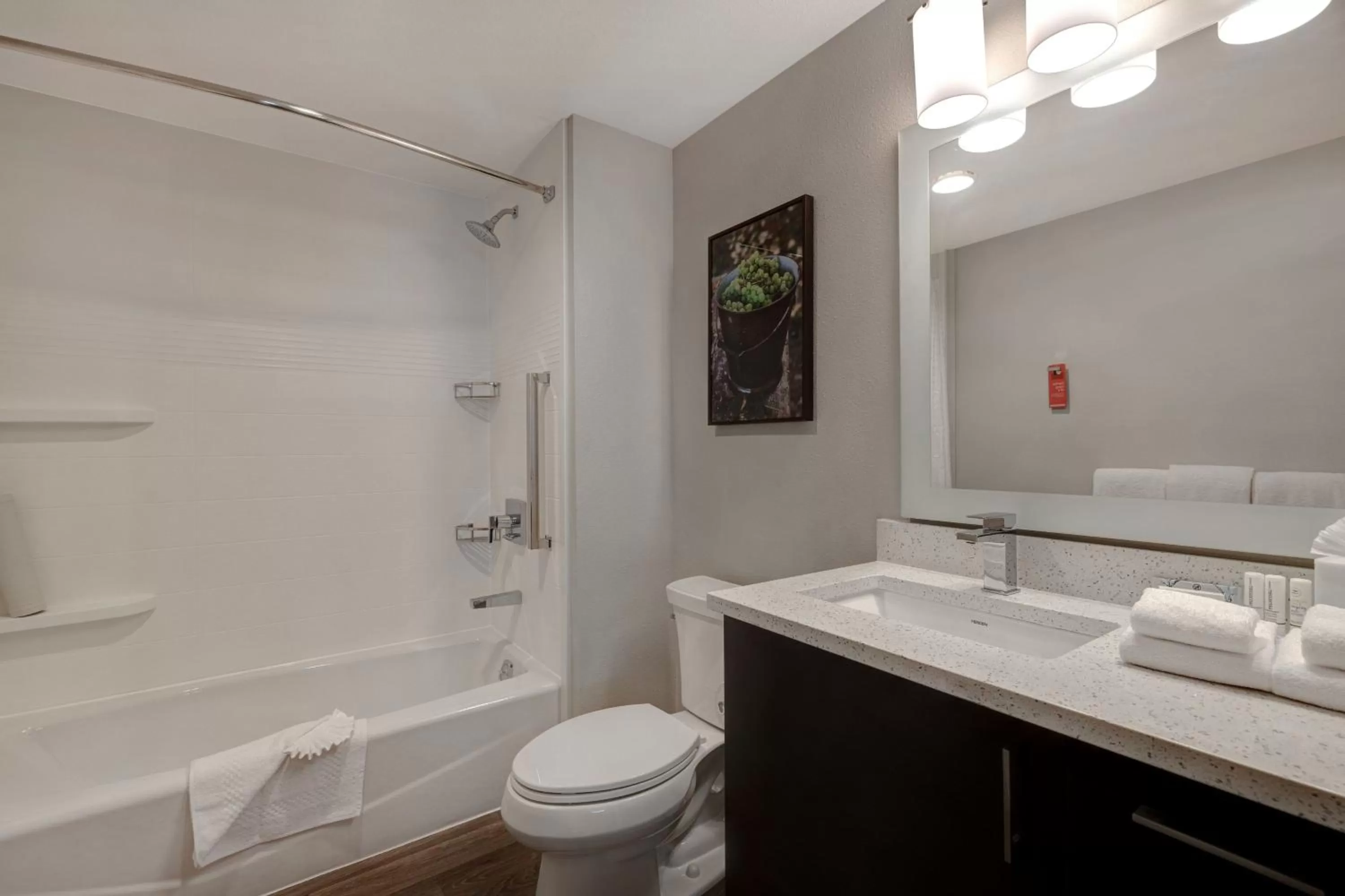 Bathroom in TownePlace Suites by Marriott San Luis Obispo