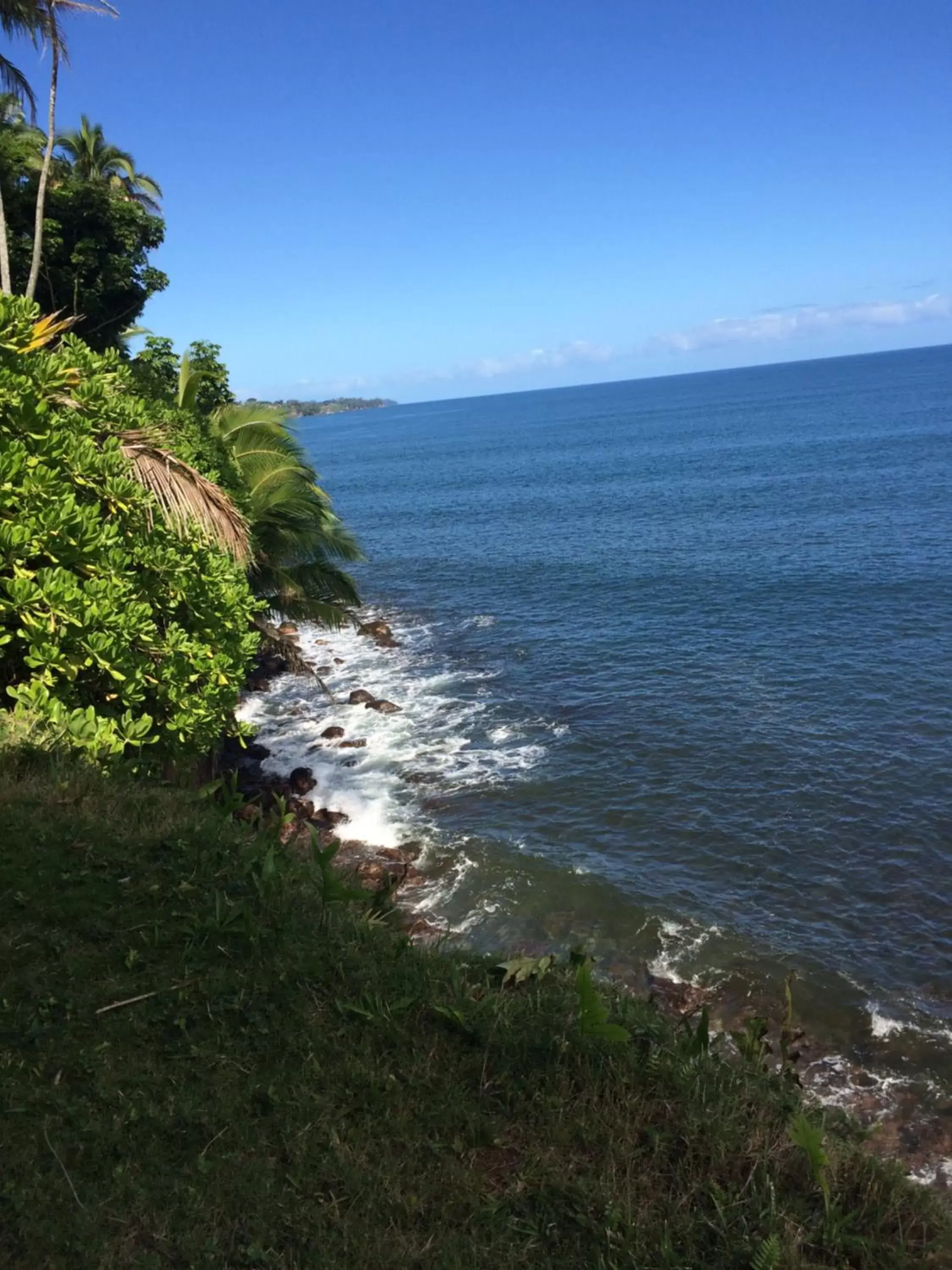 Sea view in Hilo Bay Oceanfront Bed and Breakfast