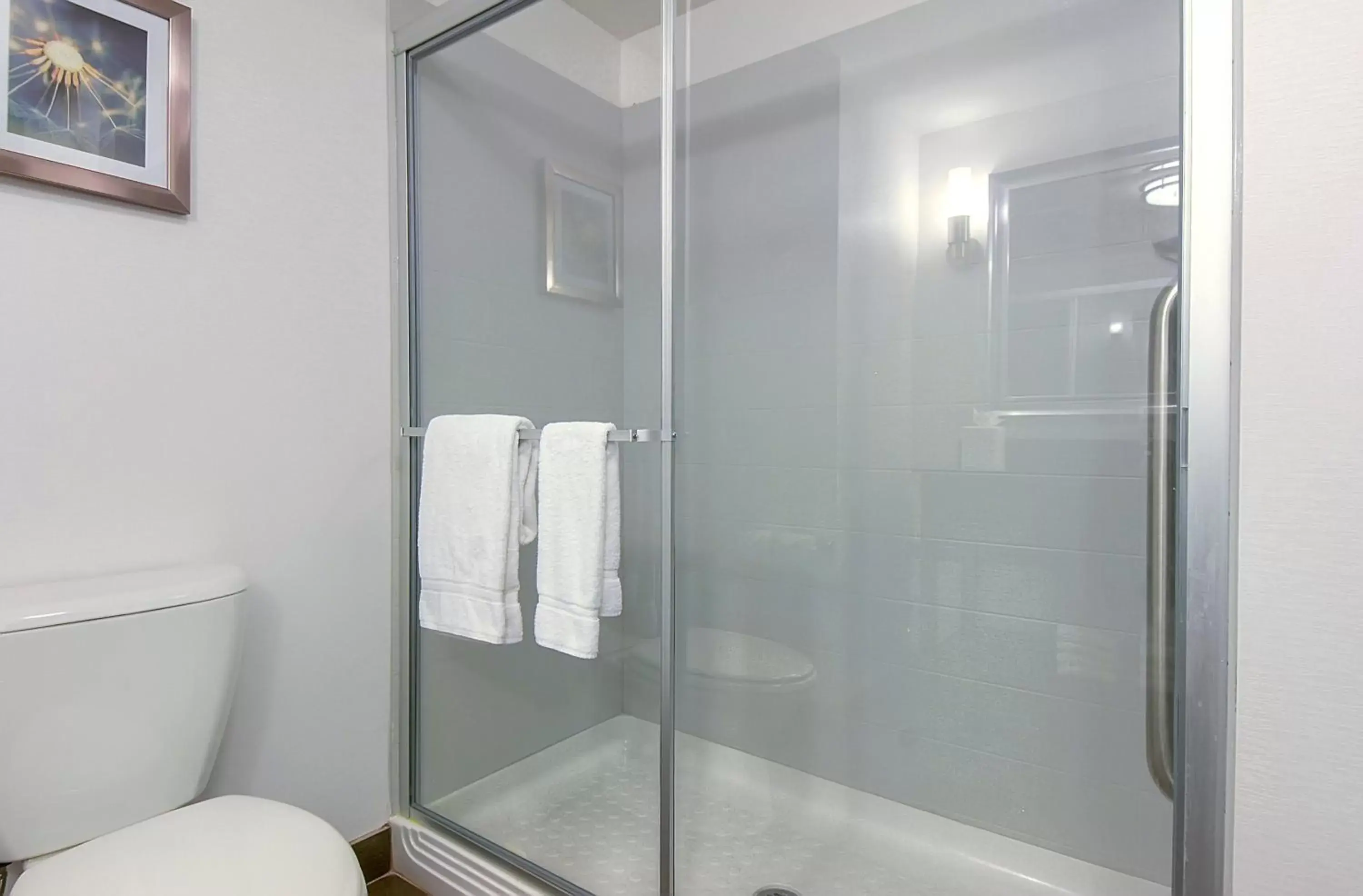 Bathroom in Holiday Inn Express Hotel & Suites Carlsbad Beach, an IHG Hotel