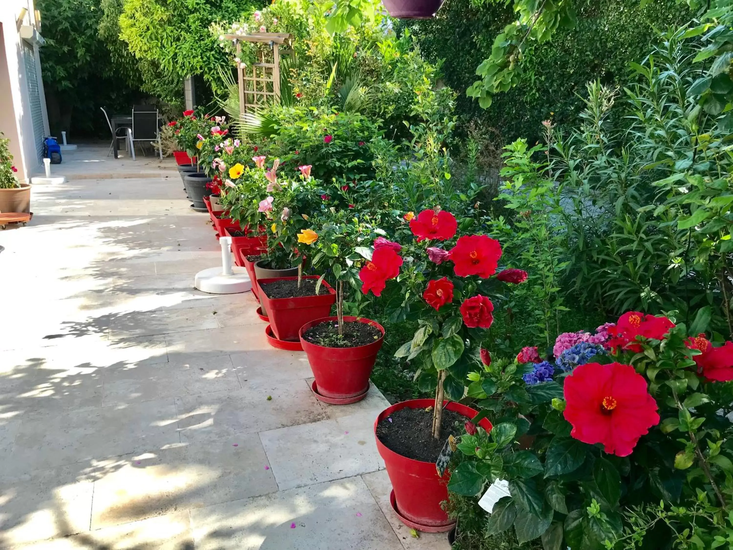 Garden in Domaine de l'Aufrene