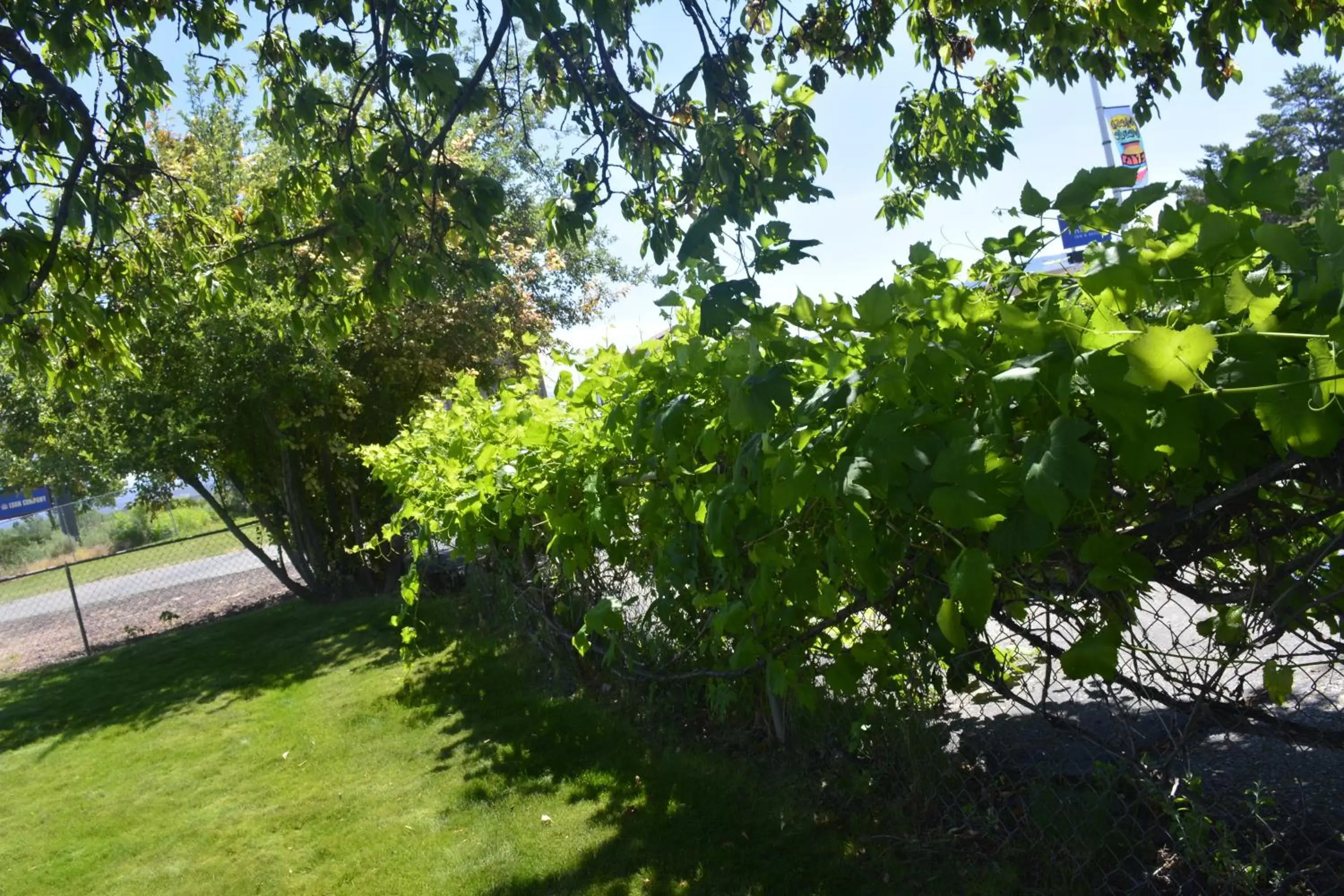 Natural landscape, Garden in Retro Inn at Mesa Verde