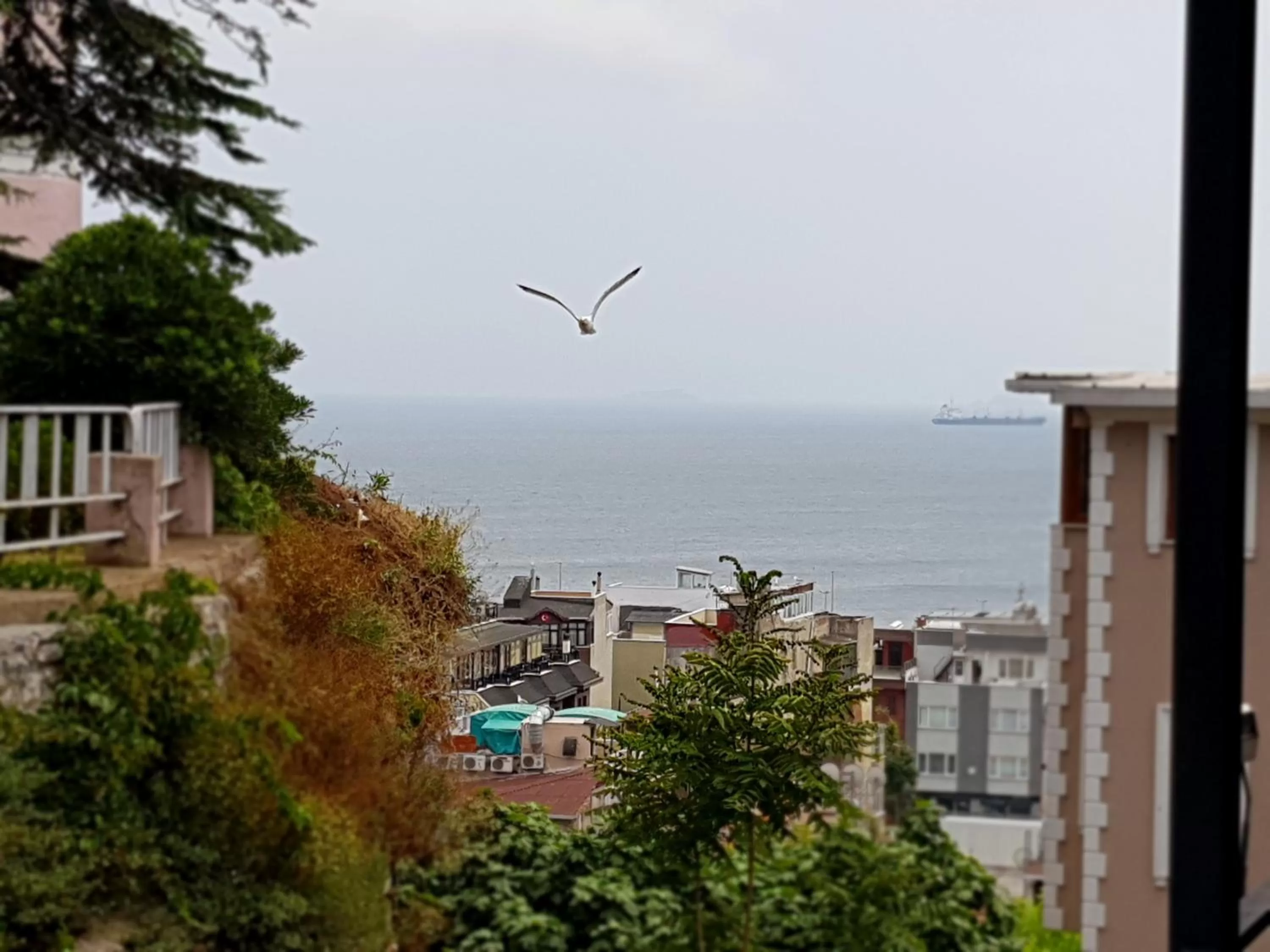 Other in Rumours Inn