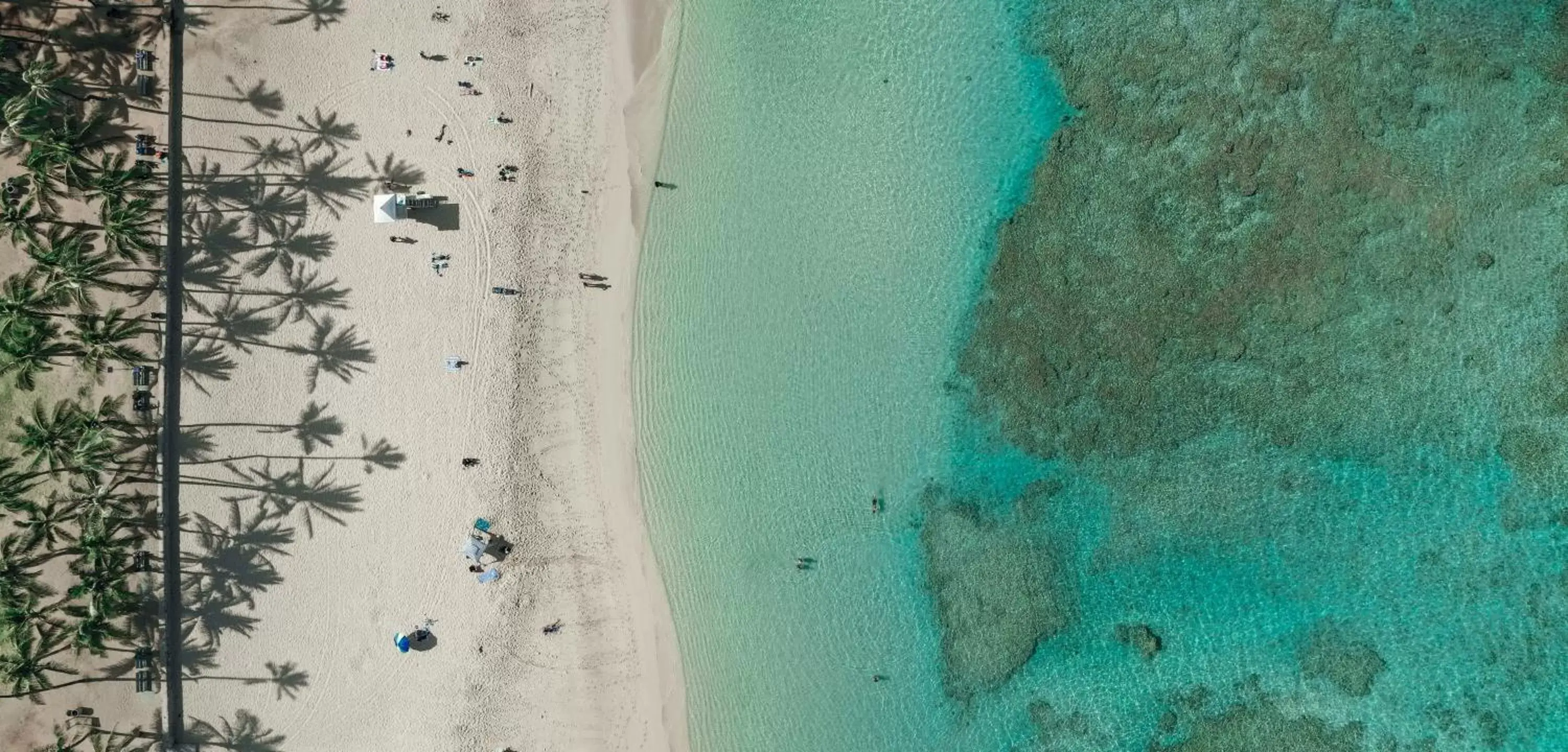 Bird's eye view, Beach in Lotus Honolulu at Diamond Head