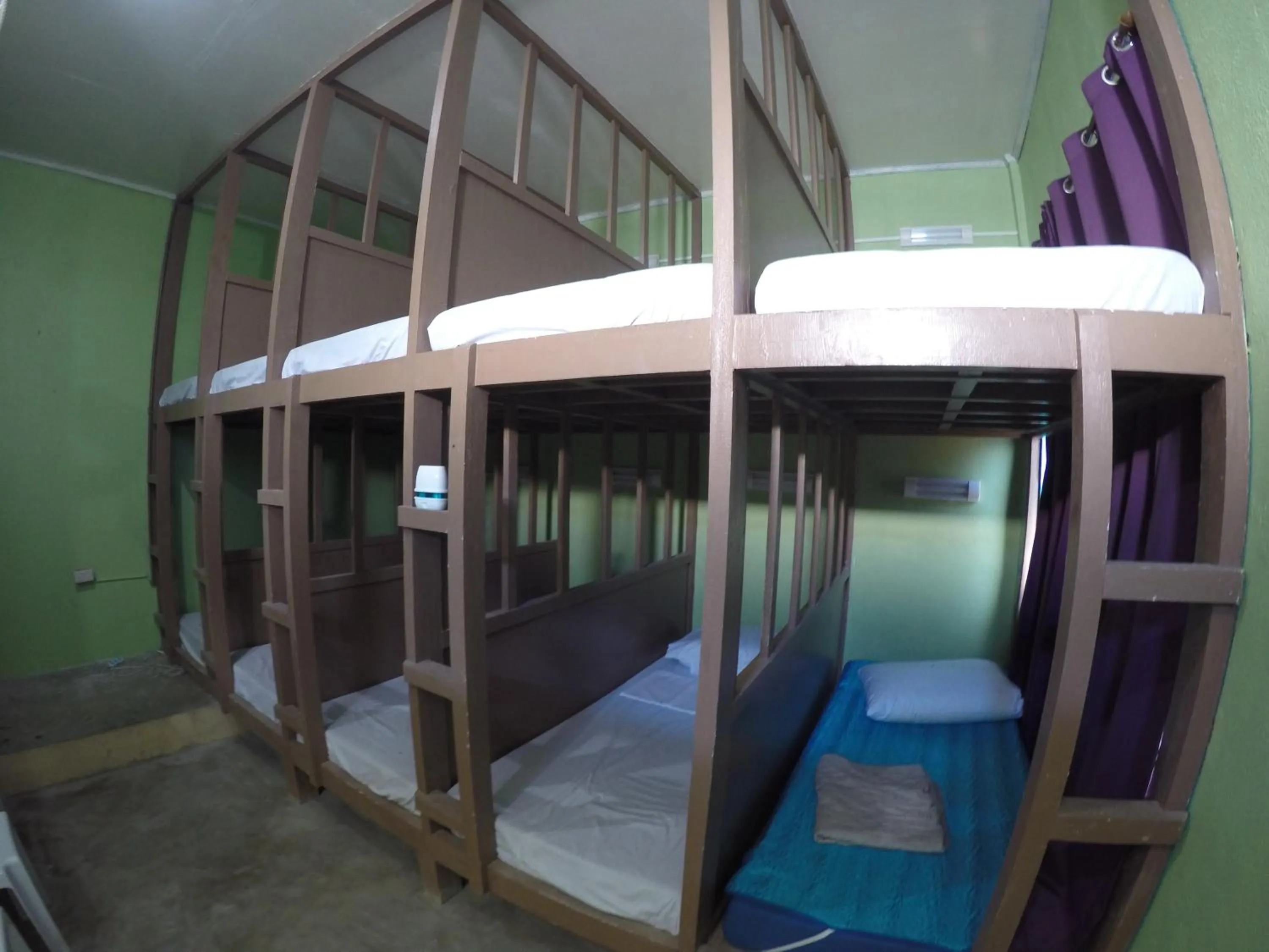 bunk bed, Bed in Malapascua Budget Inn MBI DIVE CENTER