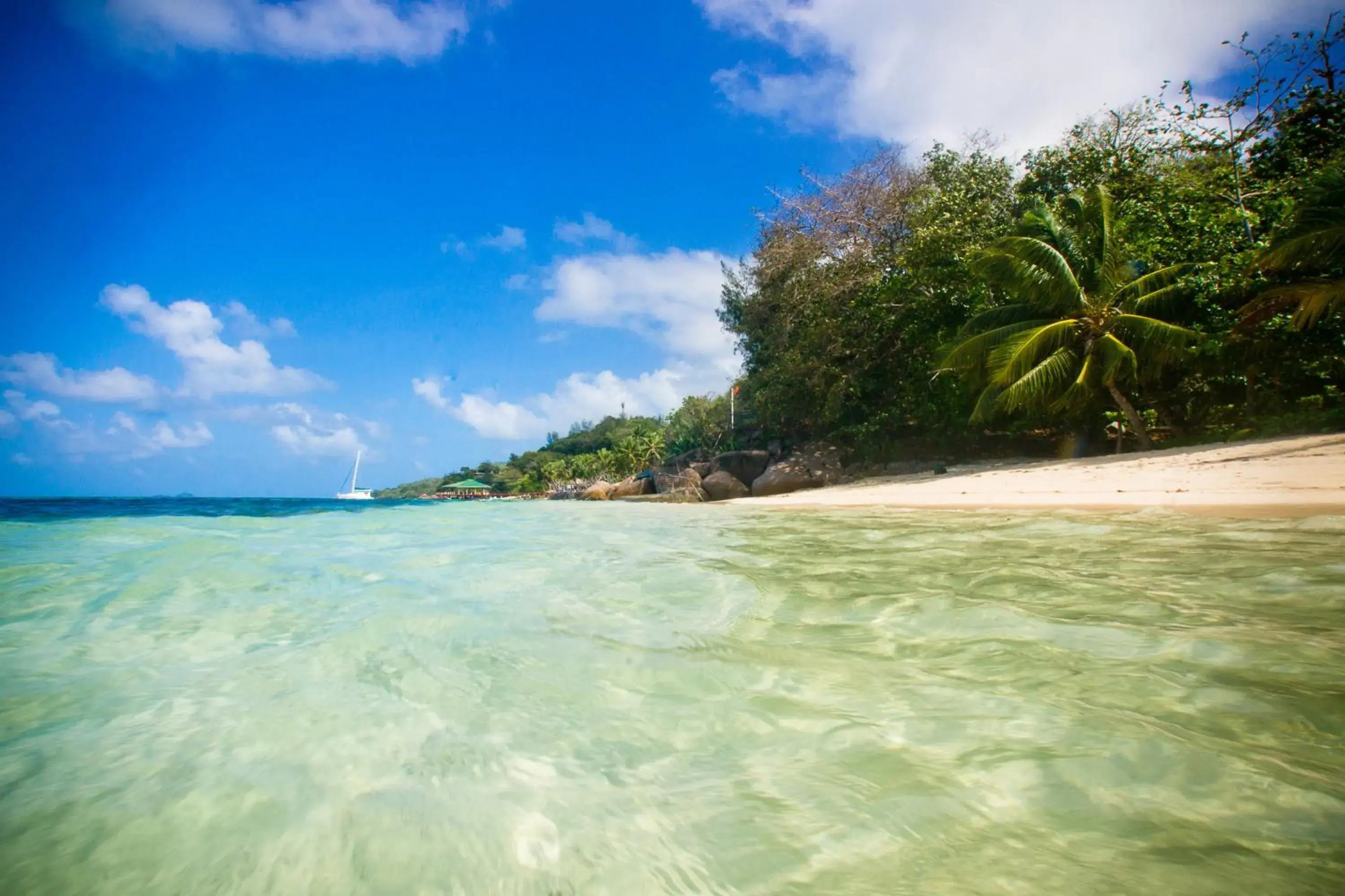 Beach in Coco de Mer and Black Parrot Suites