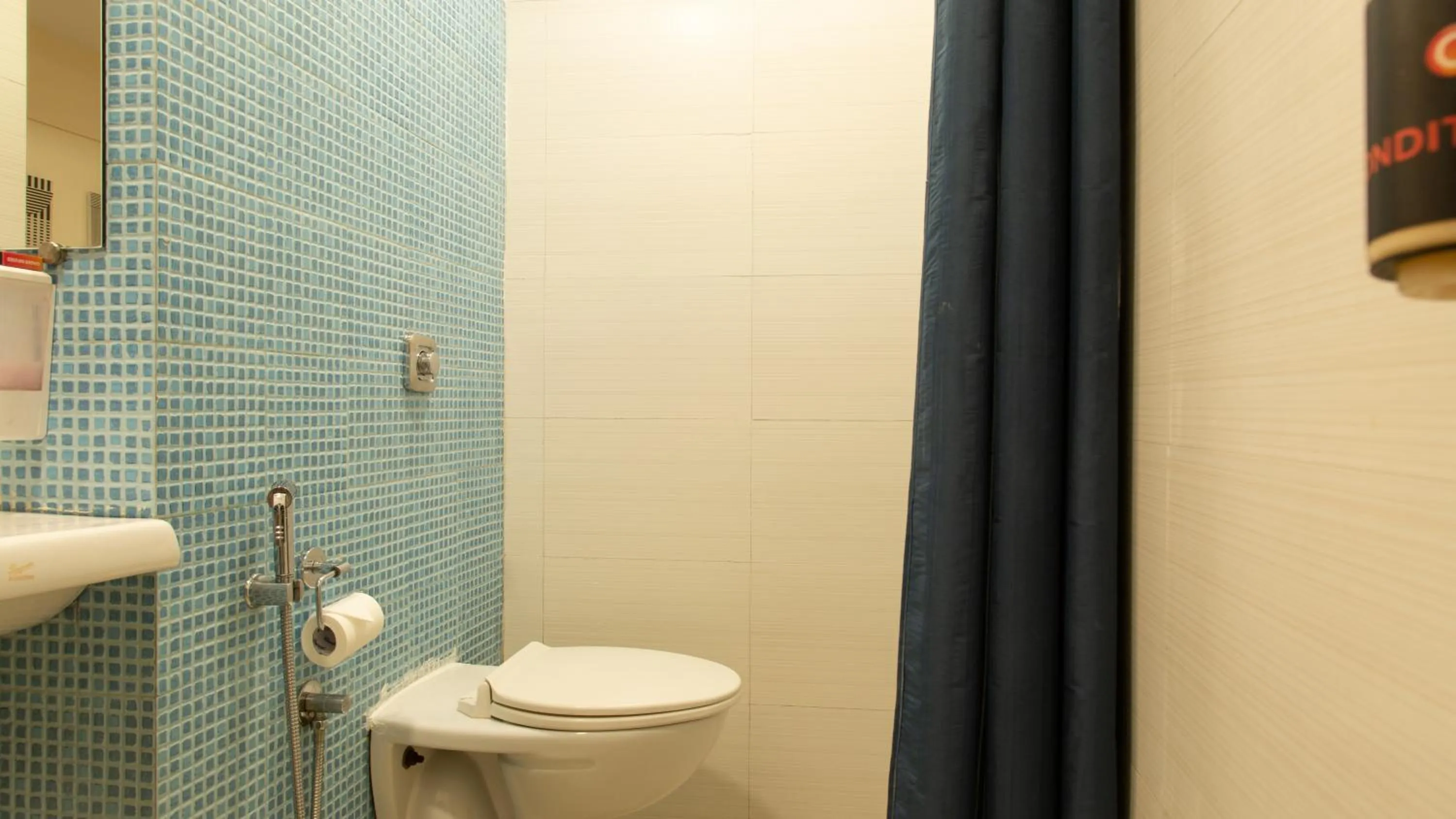 Toilet in Ginger Faridabad