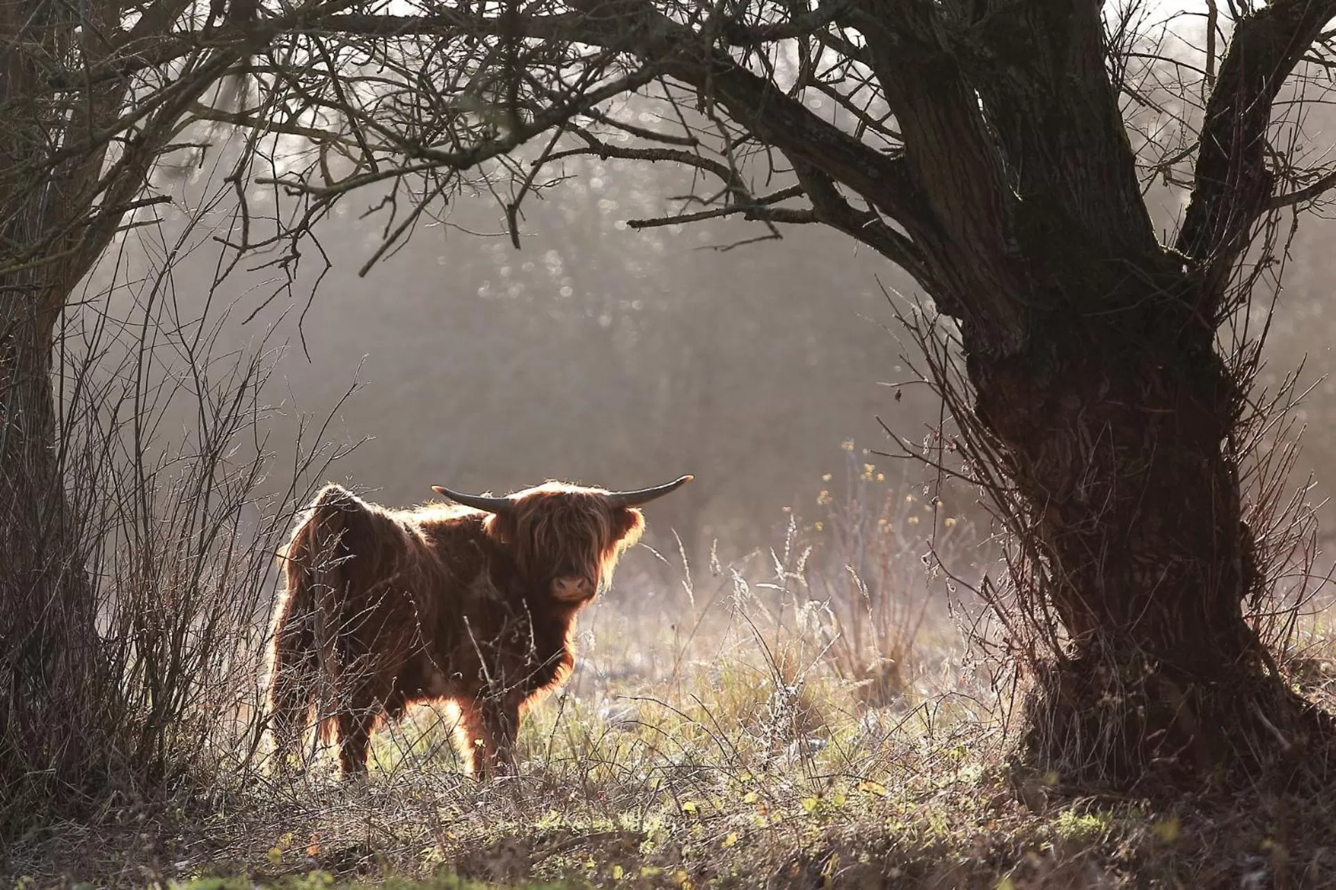 Area and facilities in Hotel Bloemendaal by BHC