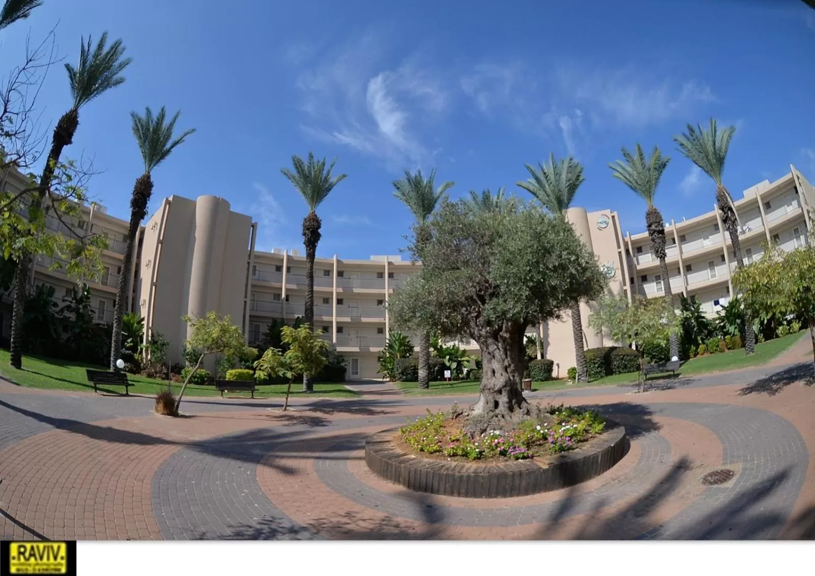 Property Building in Suite Marina Caesarea