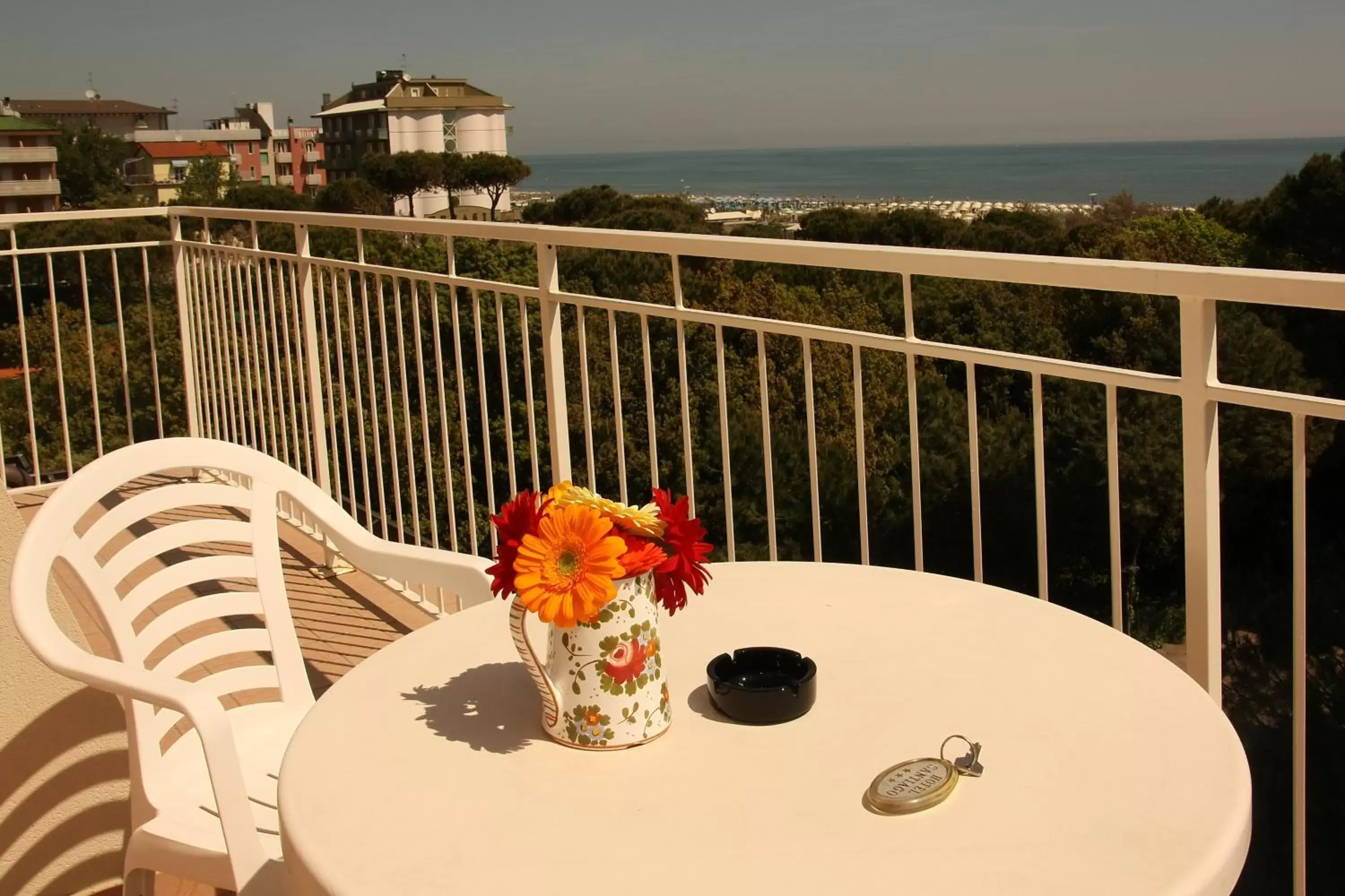 Balcony/Terrace in Hotel Santiago