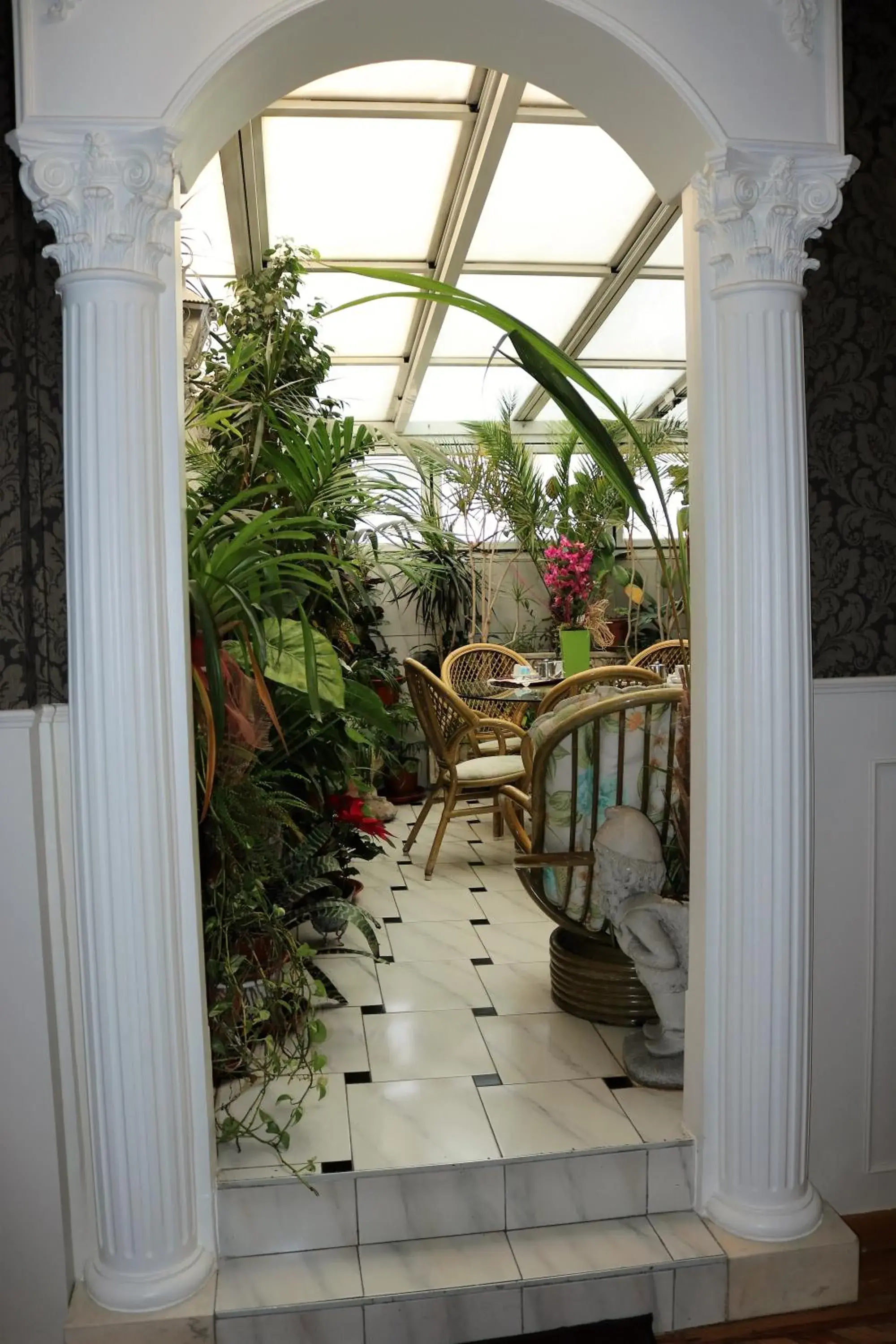 Garden, Balcony/Terrace in Hostal Hispano - Argentino