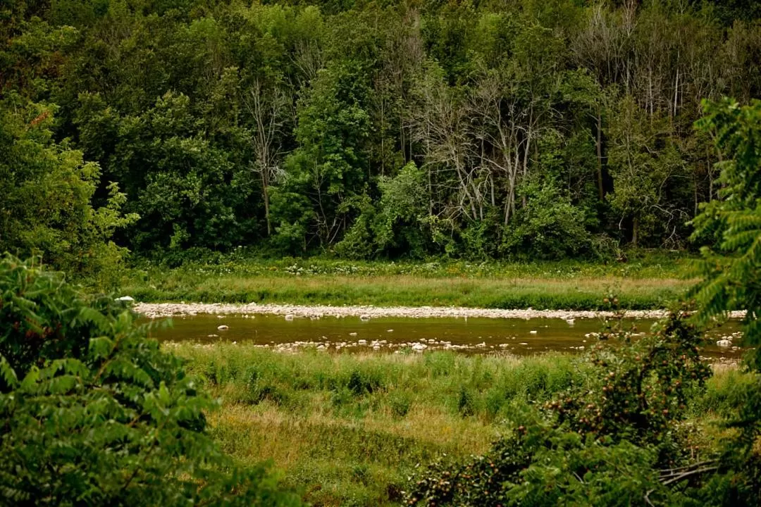 Garden in Samuels Boutique Hotel
