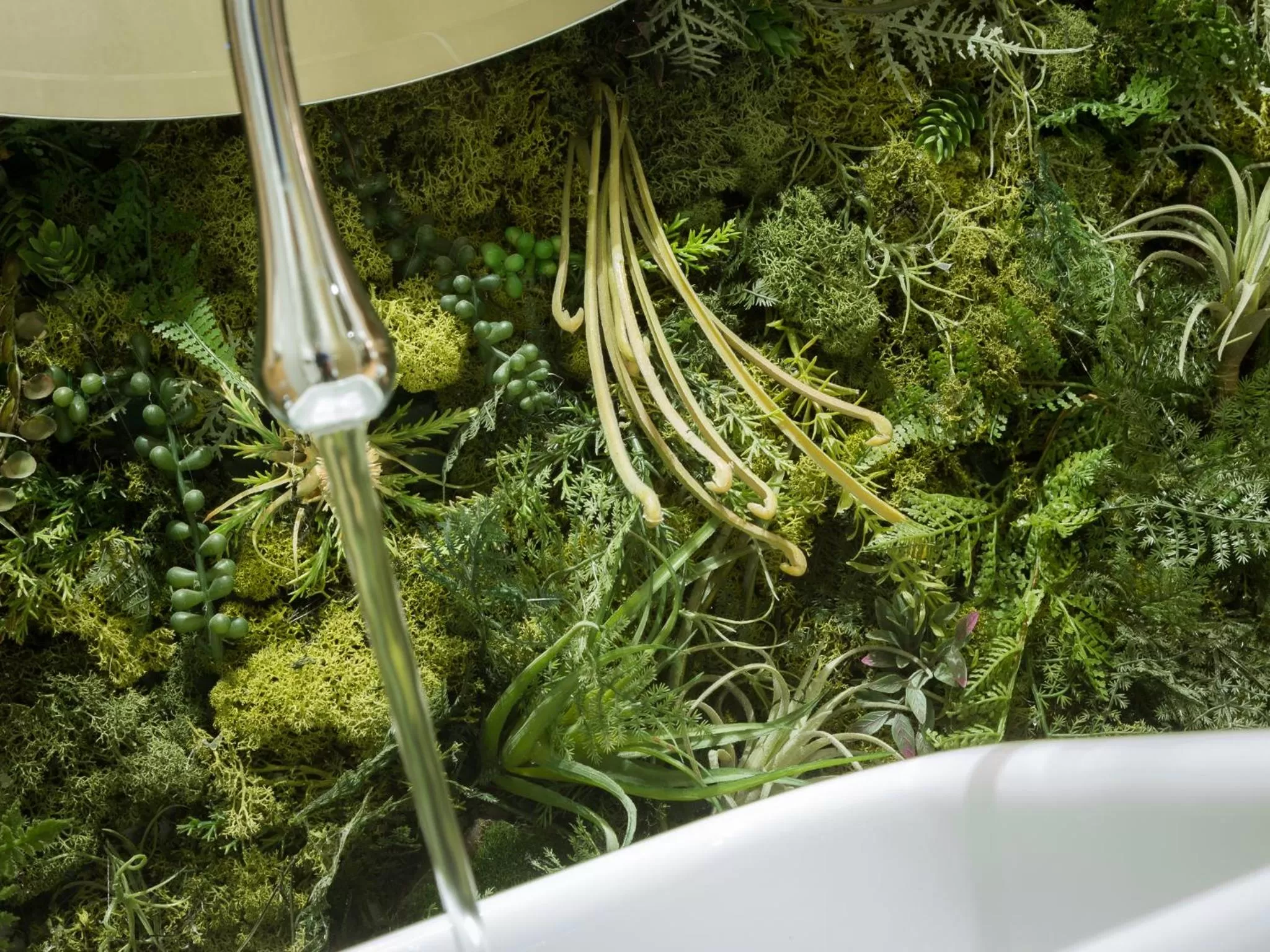 Decorative detail in Renascentia in Florence - Adults Only