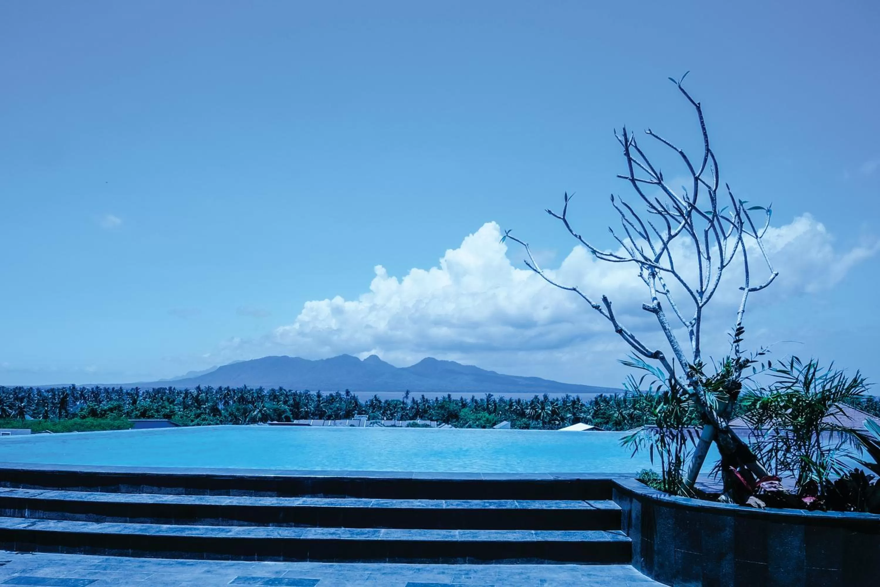 Swimming pool in ILLIRA Hotel Banyuwangi