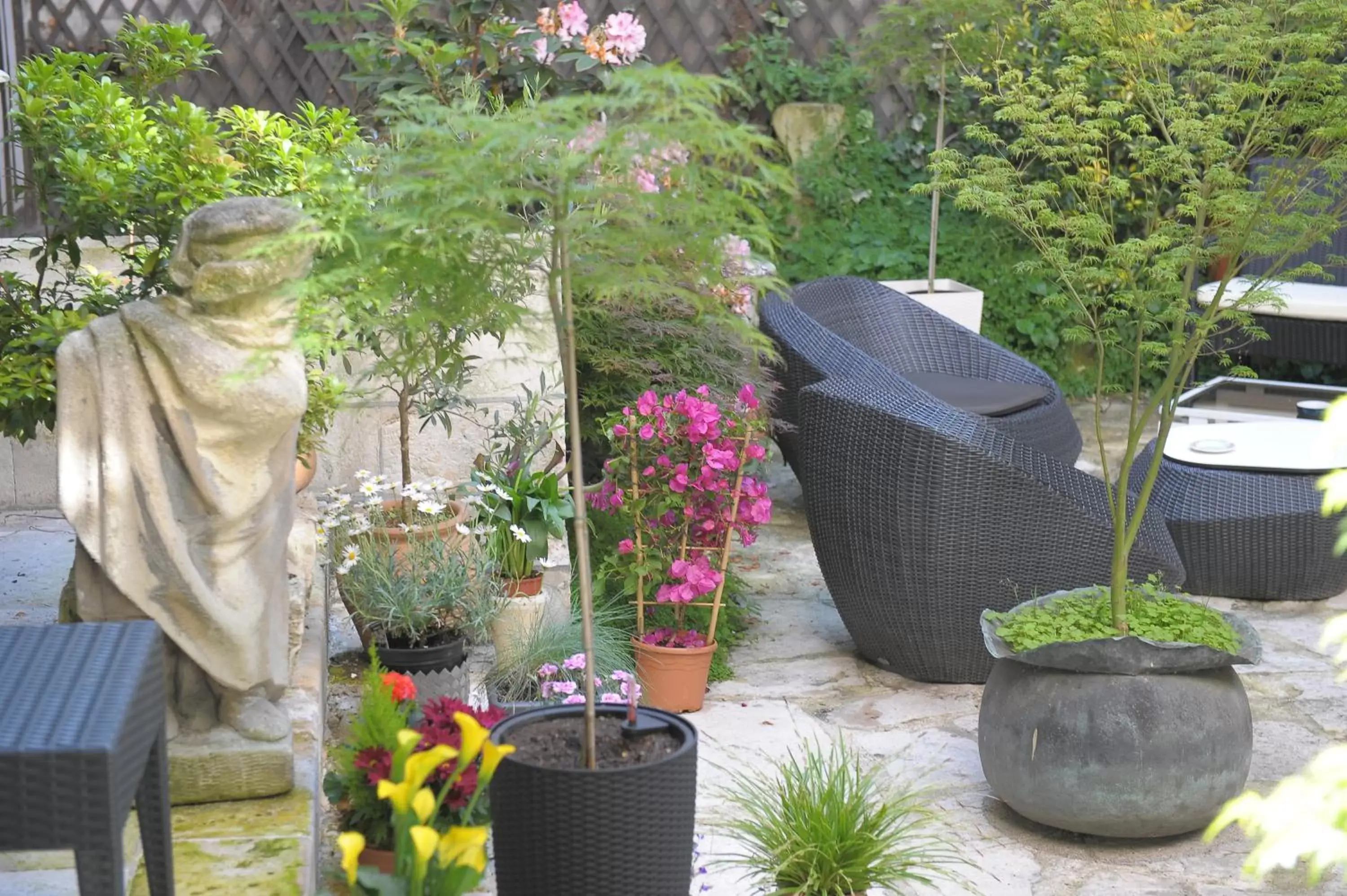 Garden in Hôtel De La Cathédrale