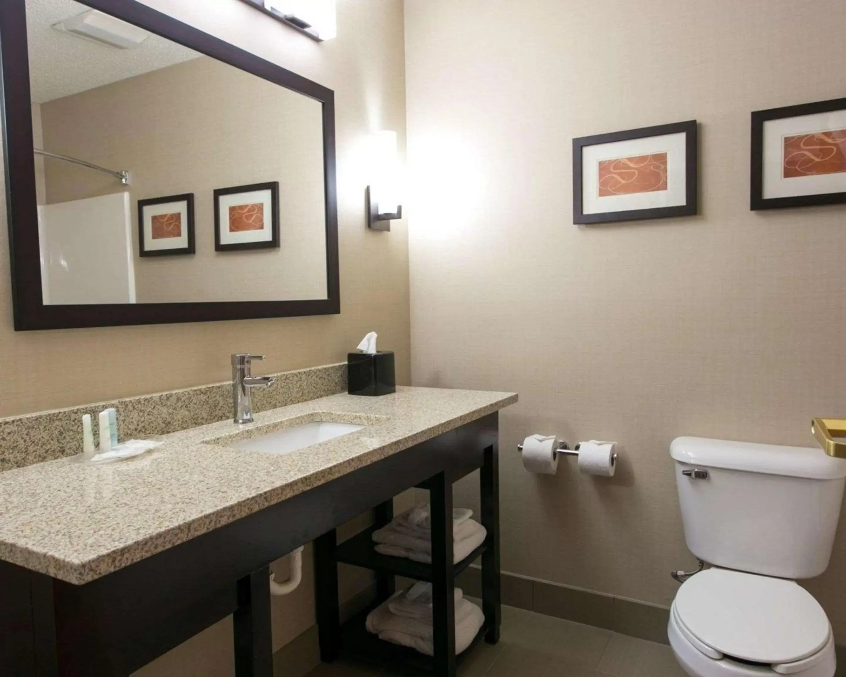 Bathroom in Comfort Suites Benton Harbor - St. Joseph