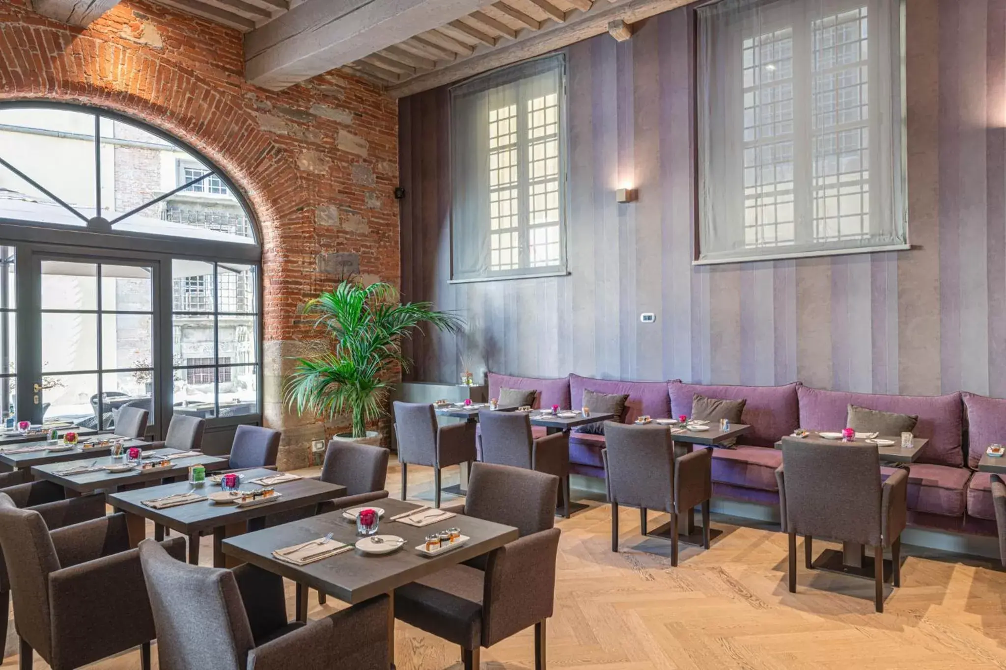 Restaurant/places to eat in Palazzo Dipinto Restaurant/places to eat in Palazzo Dipinto