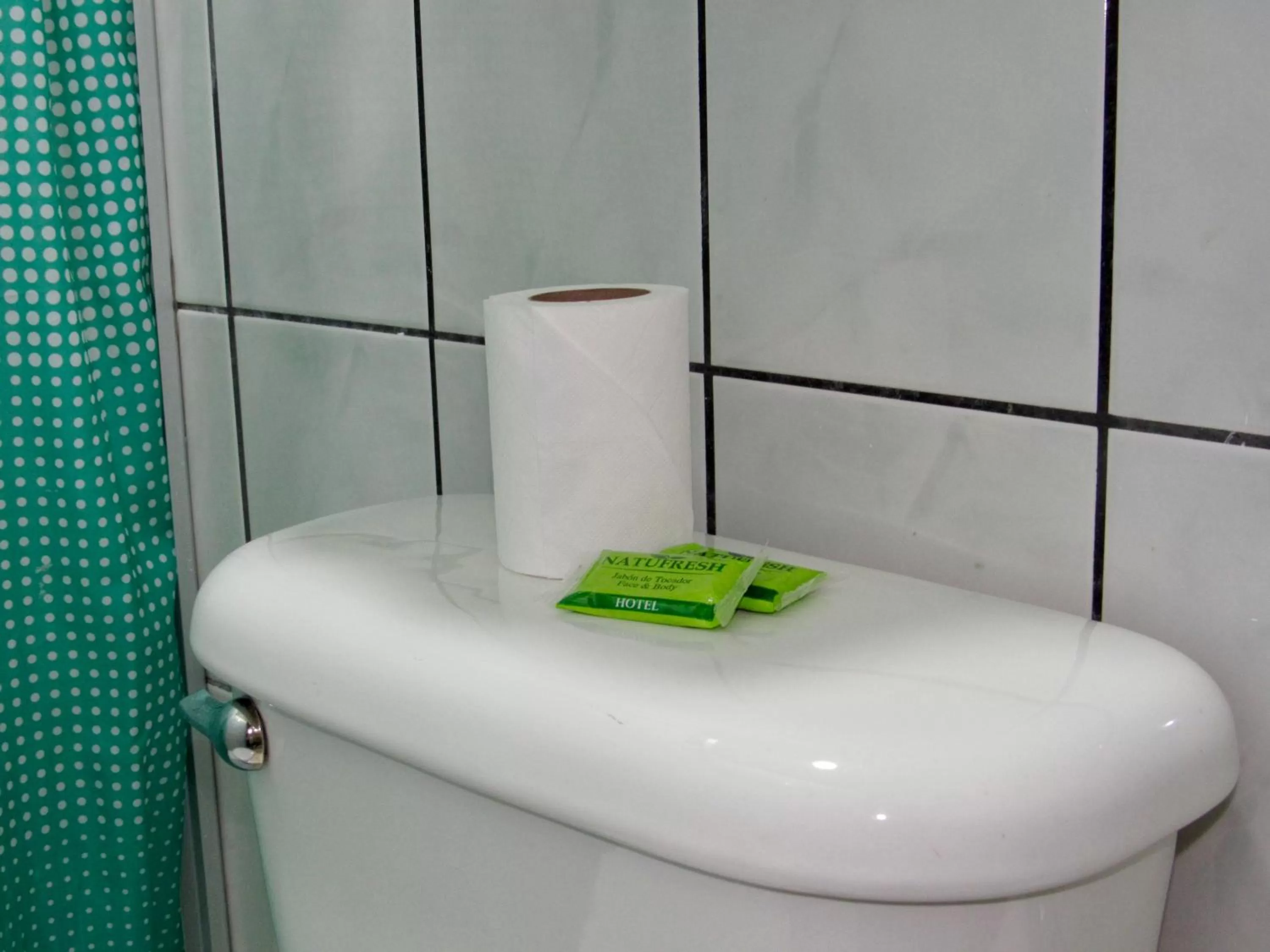 Bathroom in Hotel La Guaria Inn & Suites