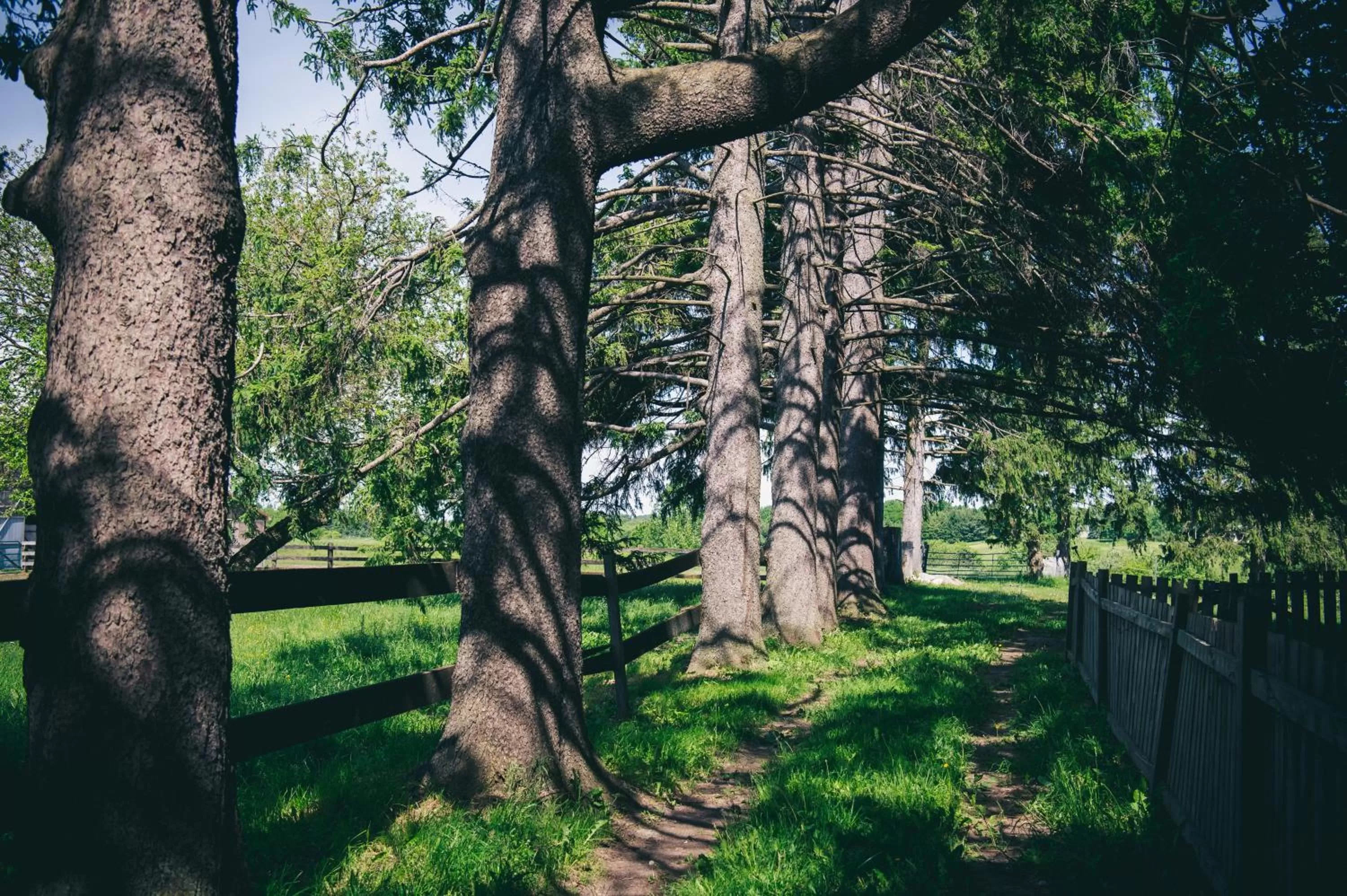 Property building, Garden in Servus Stratford