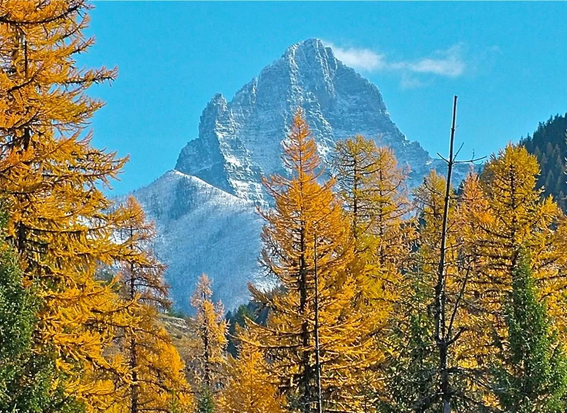 Area and facilities, Natural Landscape in Glacier Haven Inn
