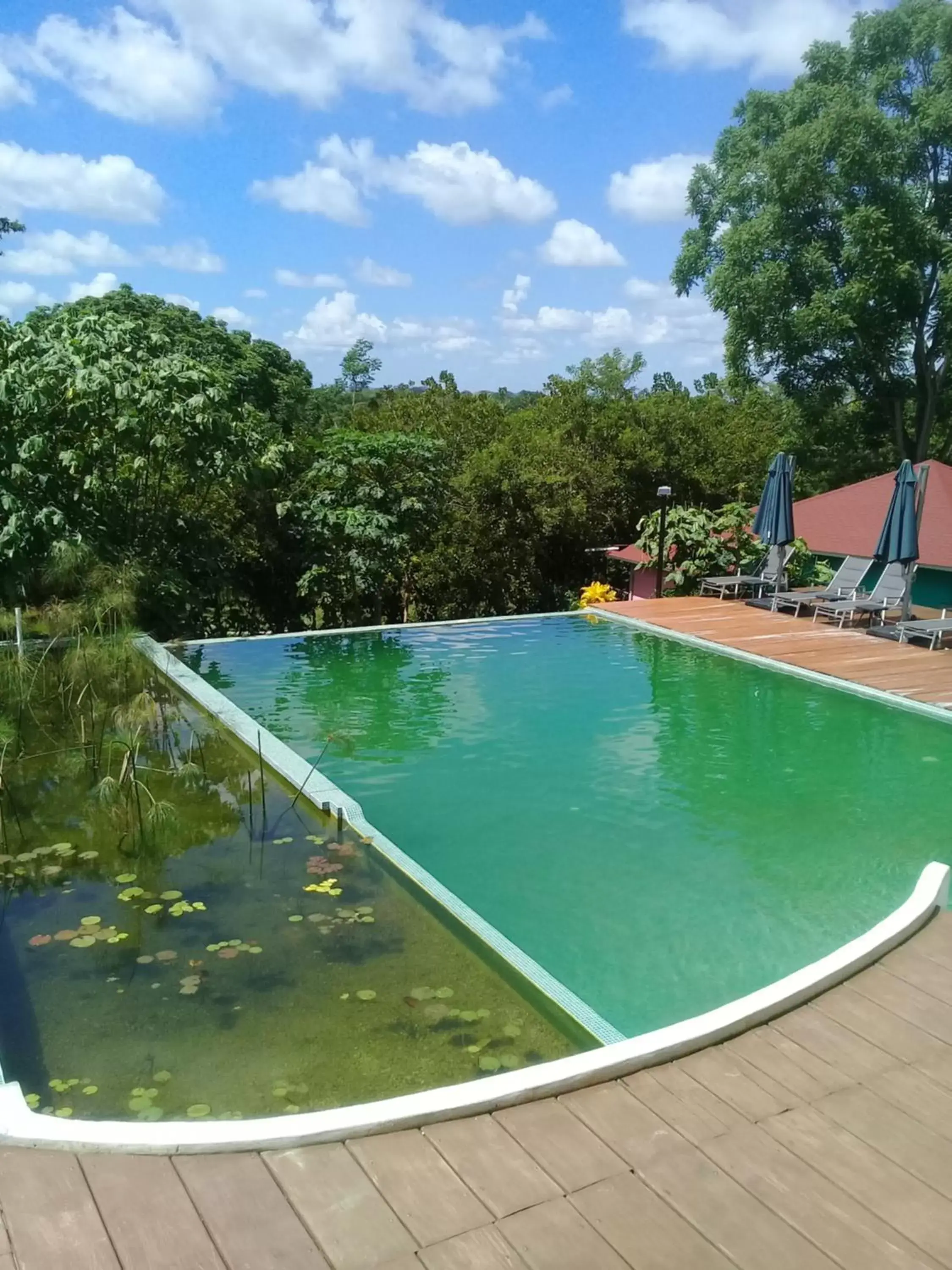 Swimming Pool in Winíka Alterra