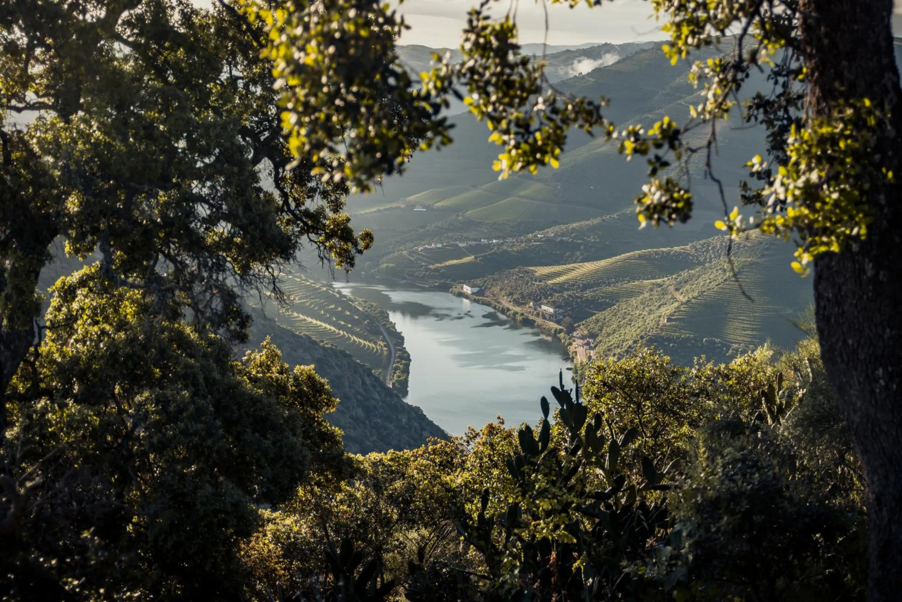 Natural landscape in Original Douro Hotel