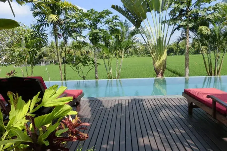 Swimming Pool in Bali Harmony Villa