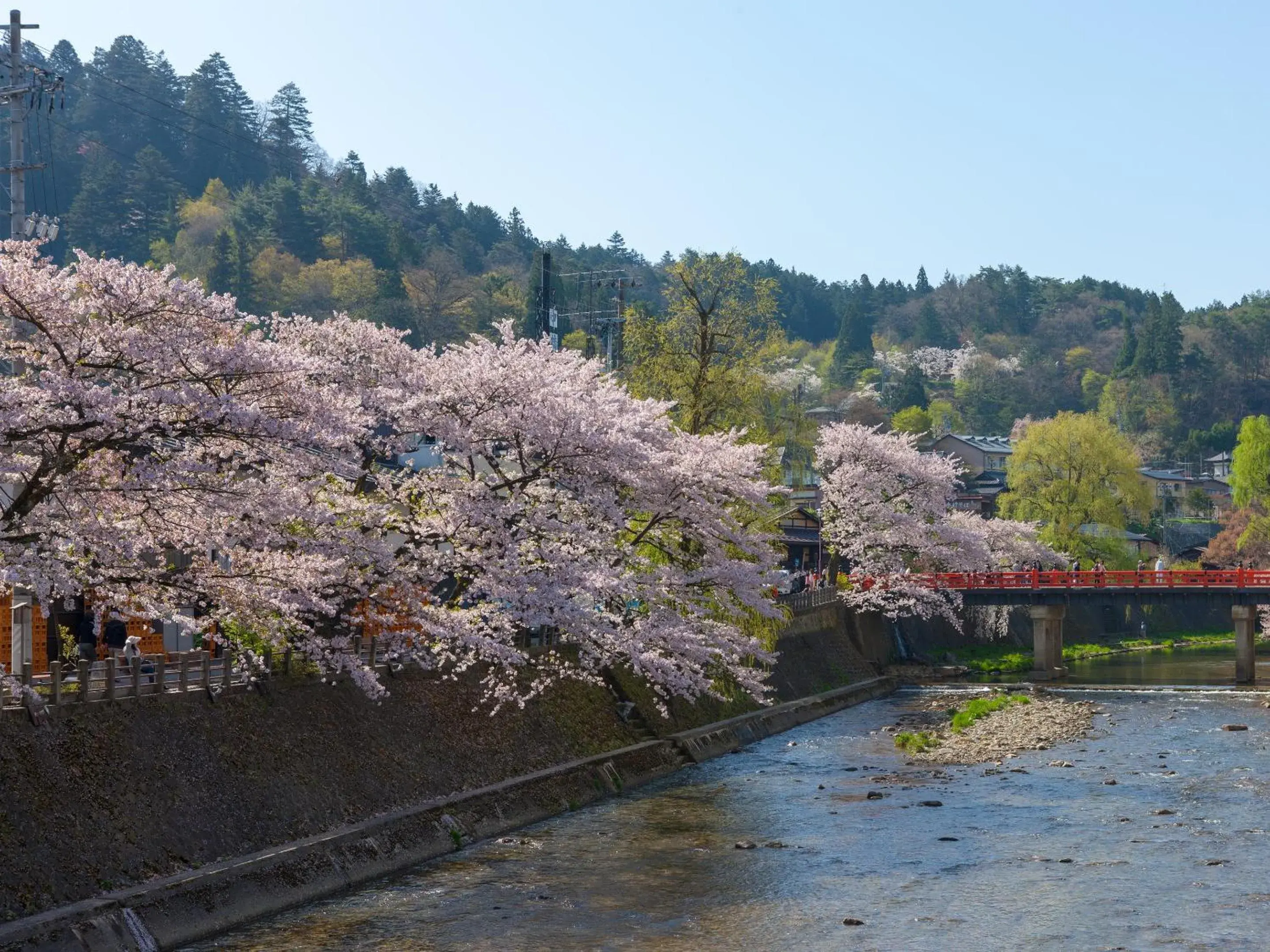 Wanosato Ryokan