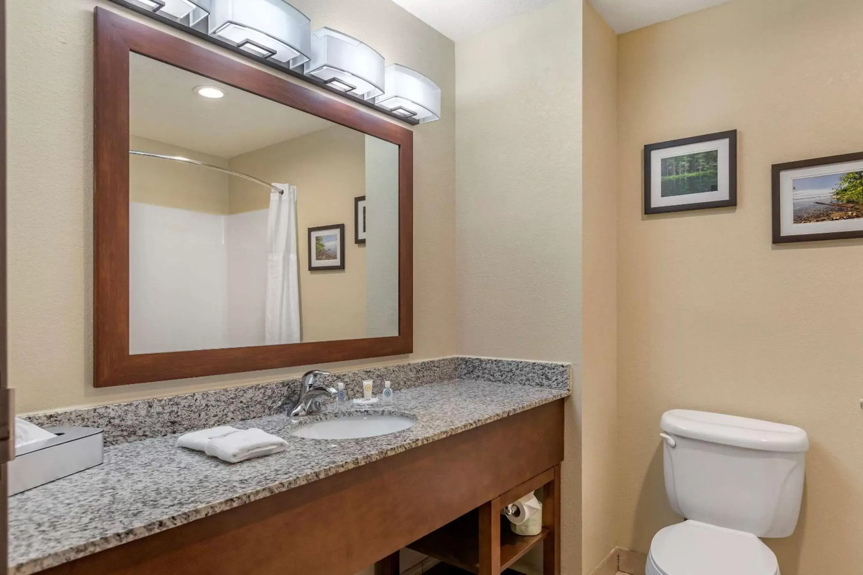 Photo of the whole room, Bathroom in Comfort Suites Grand Rapids North