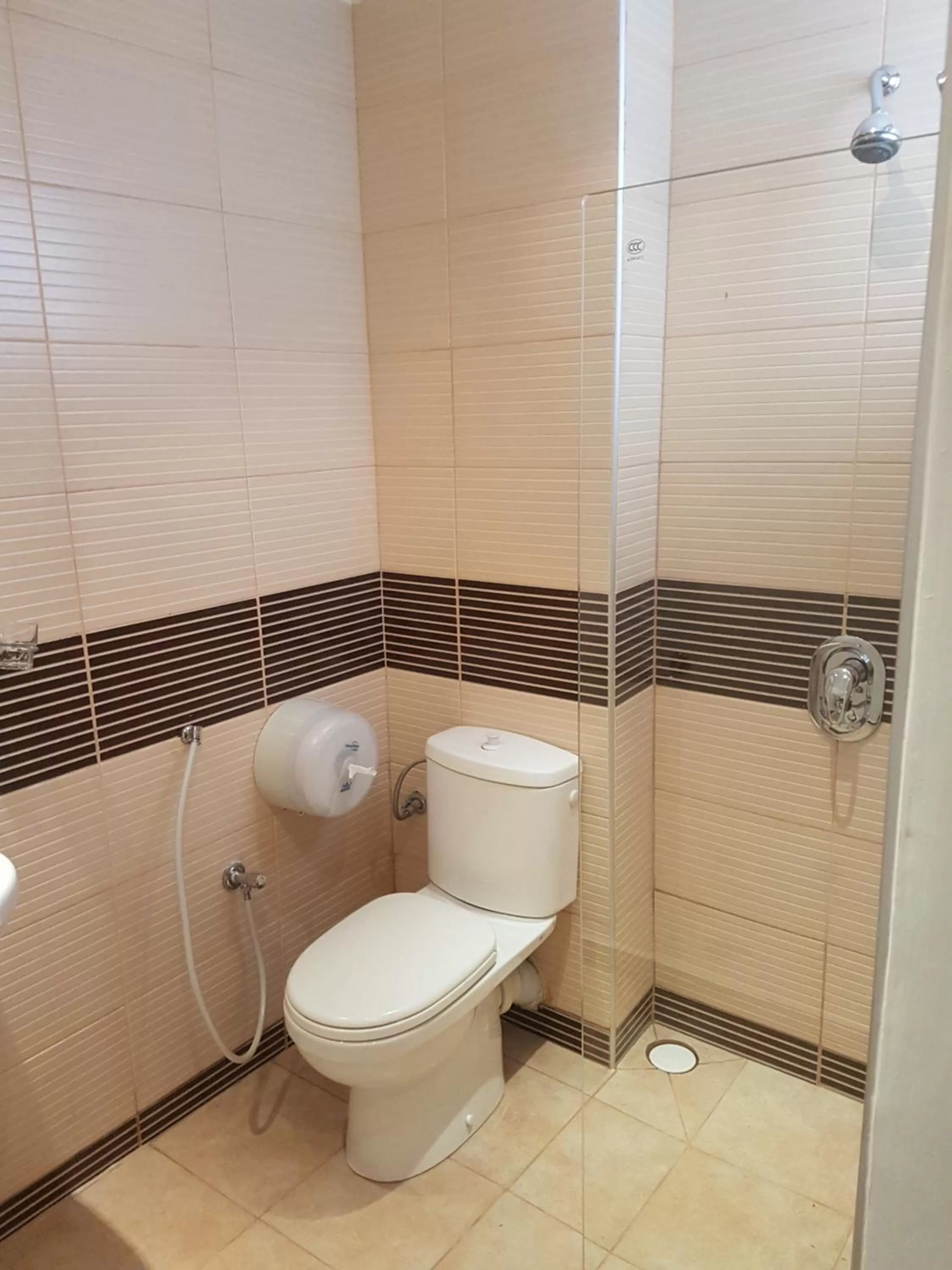 Toilet in Sole Hotel