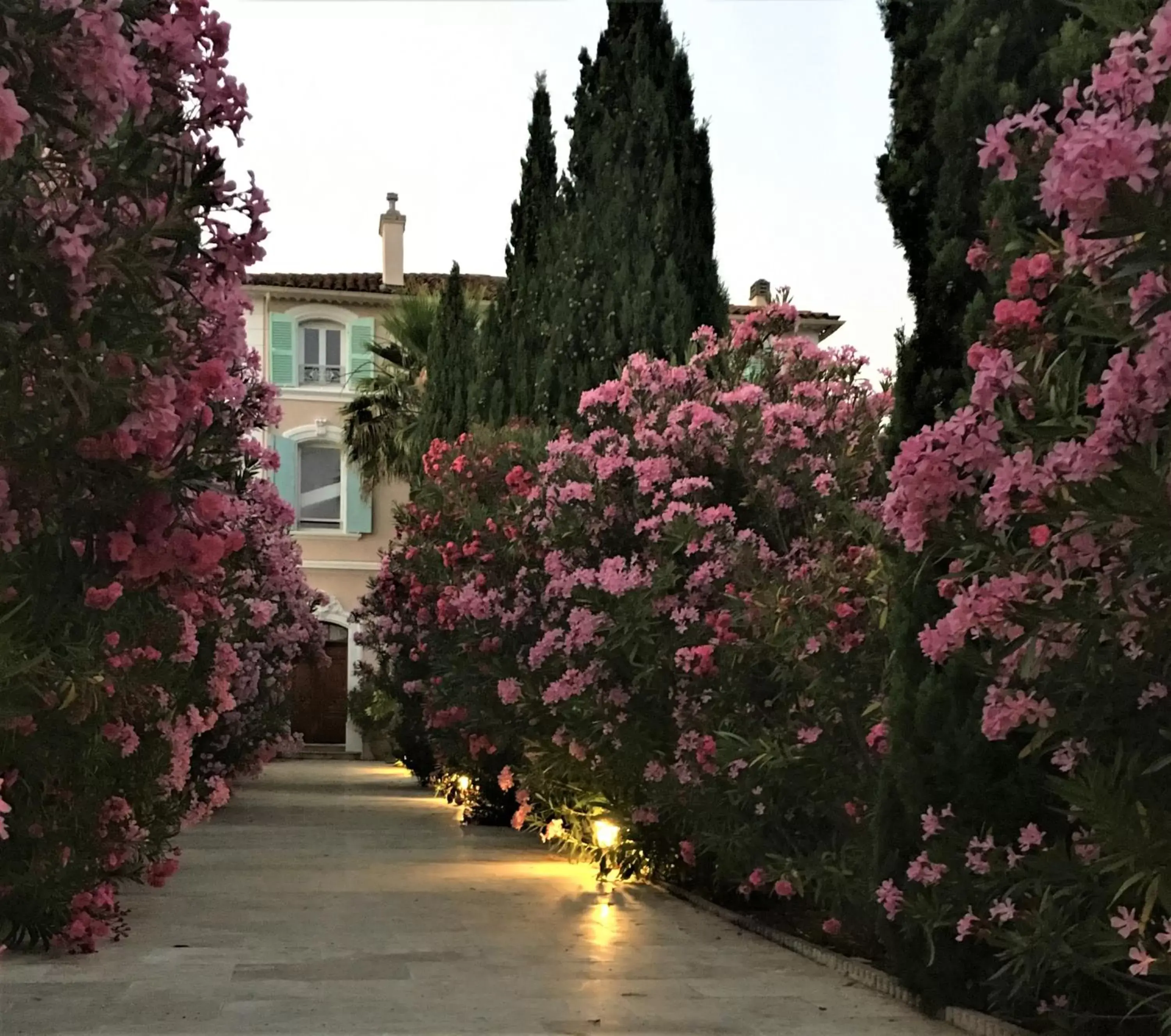 Garden view in Domaine de l'Aufrene