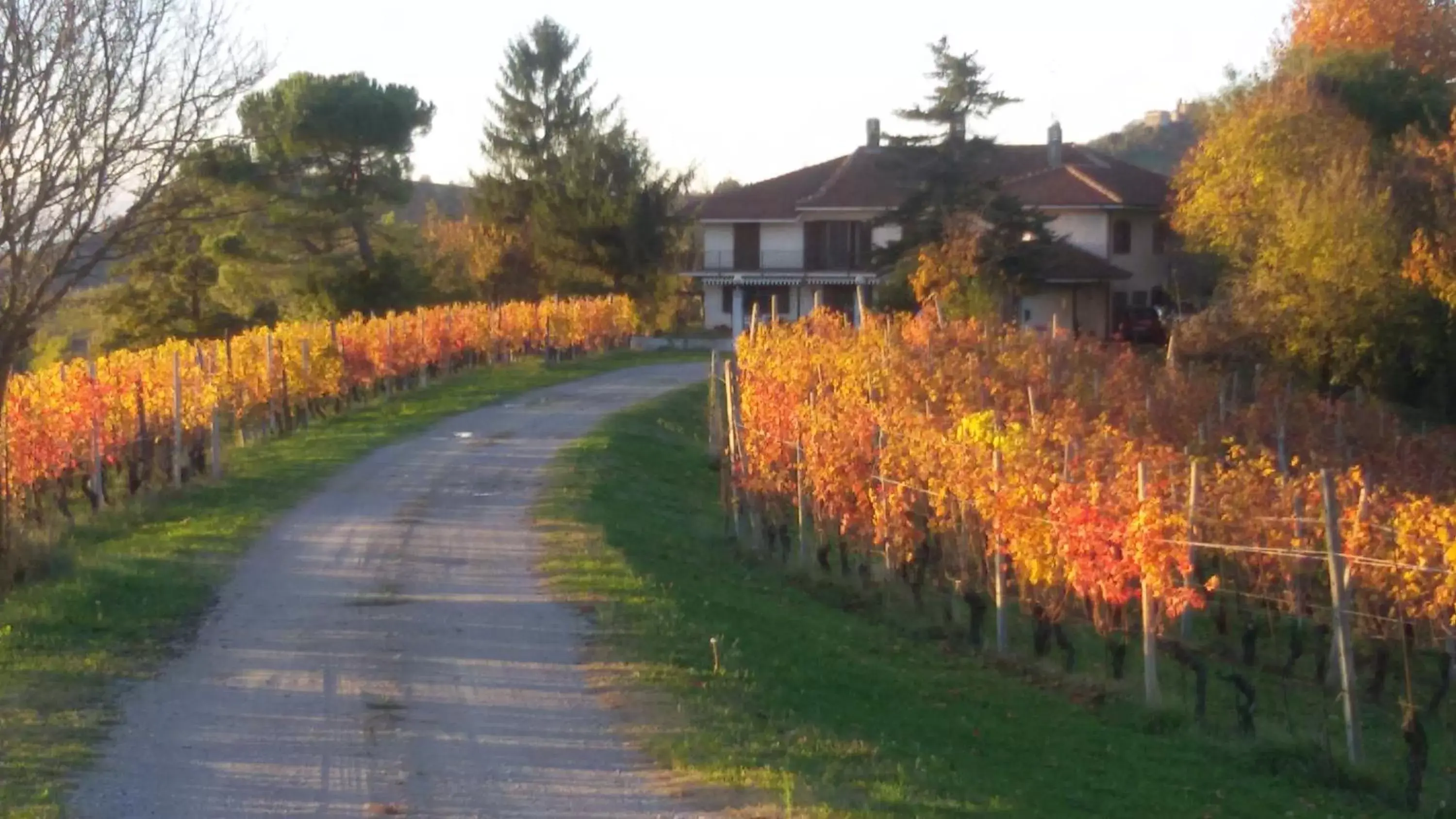 Landmark view, Property Building in Cascina Torello