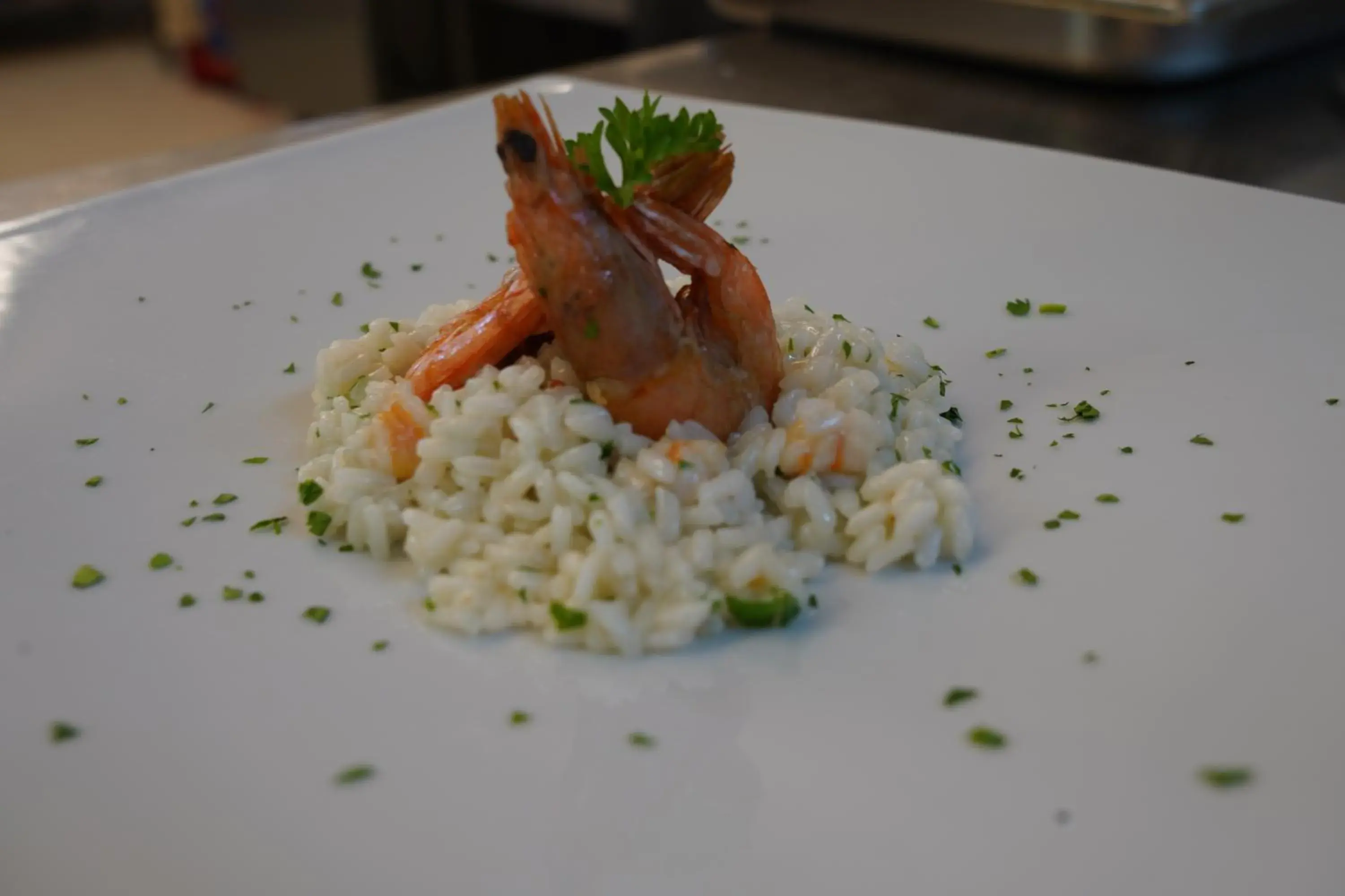 Food in Hotel Albatros