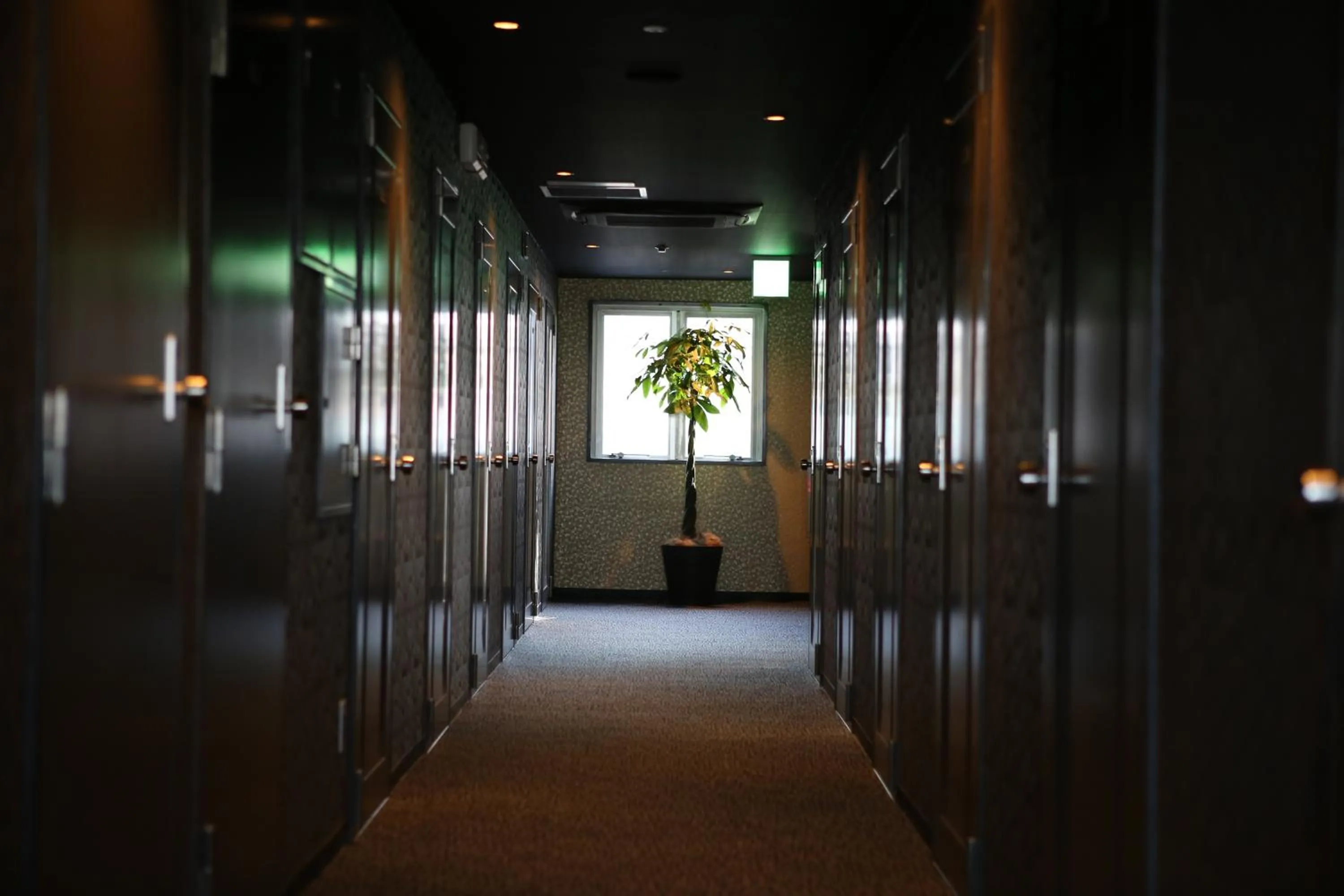 Other in Hotel Sunplaza 2 Annex