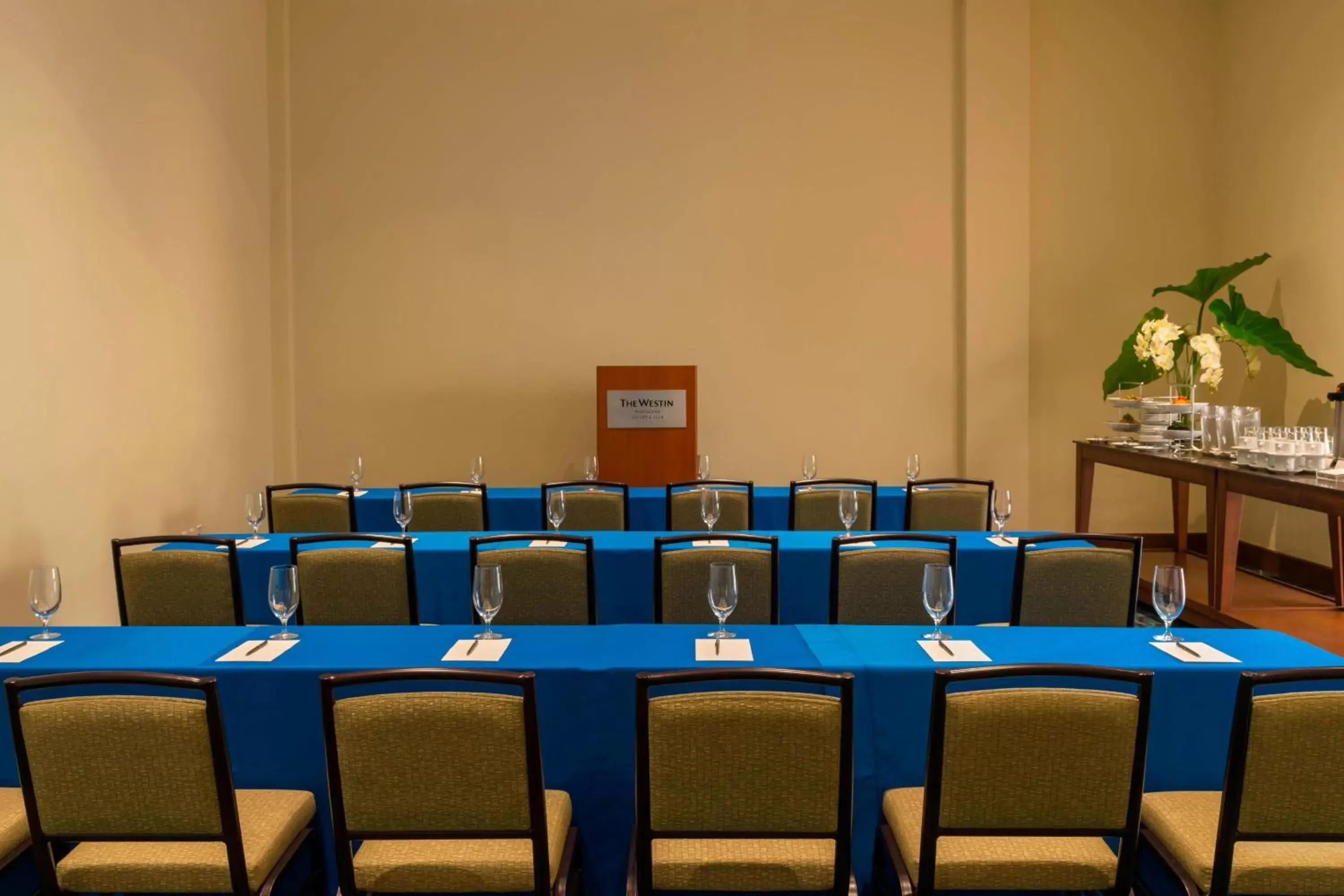 Meeting/conference room in The Westin Puntacana Resort & Club