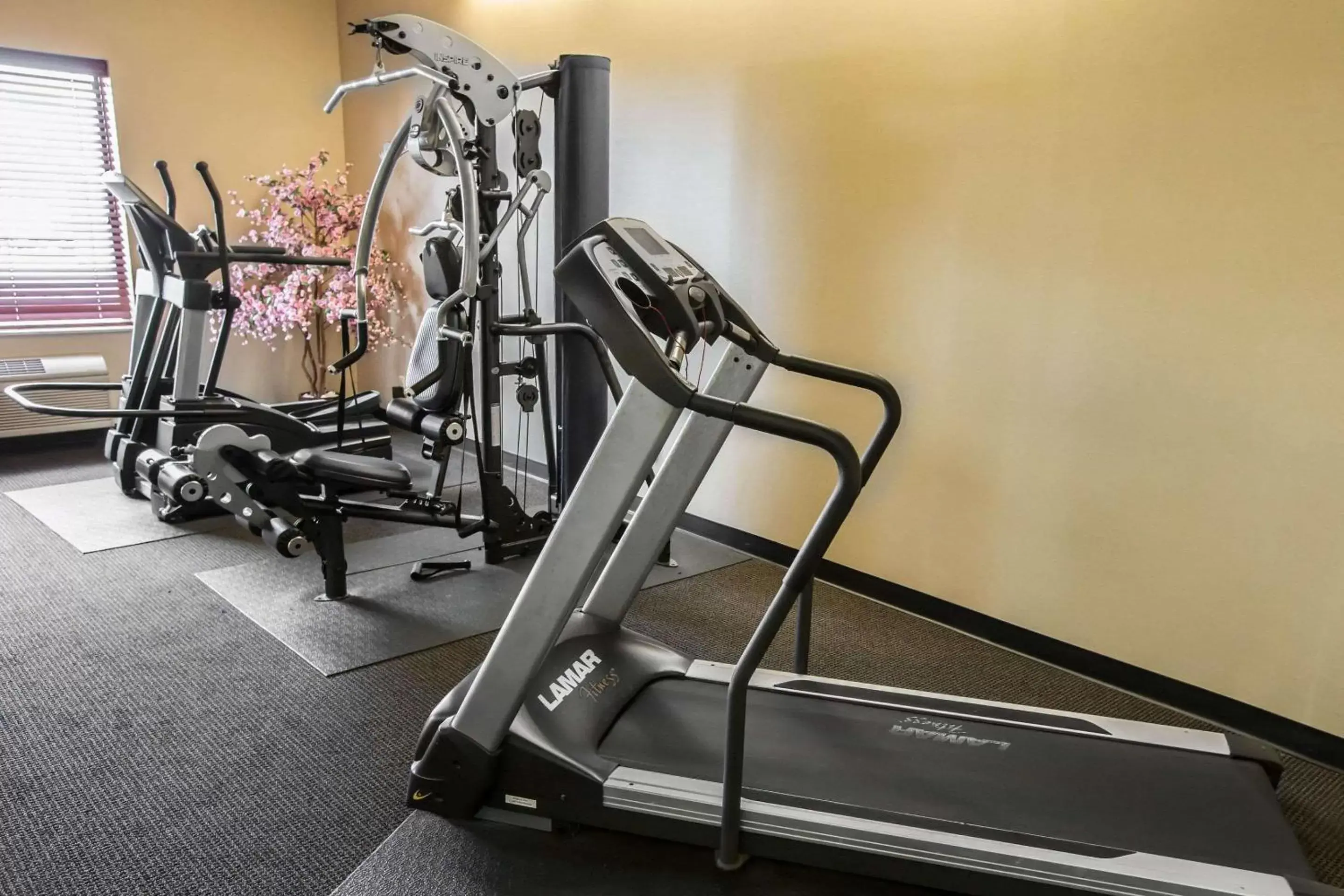 Fitness centre/facilities, Fitness Center/Facilities in Comfort Inn Crystal Lake - Algonquin