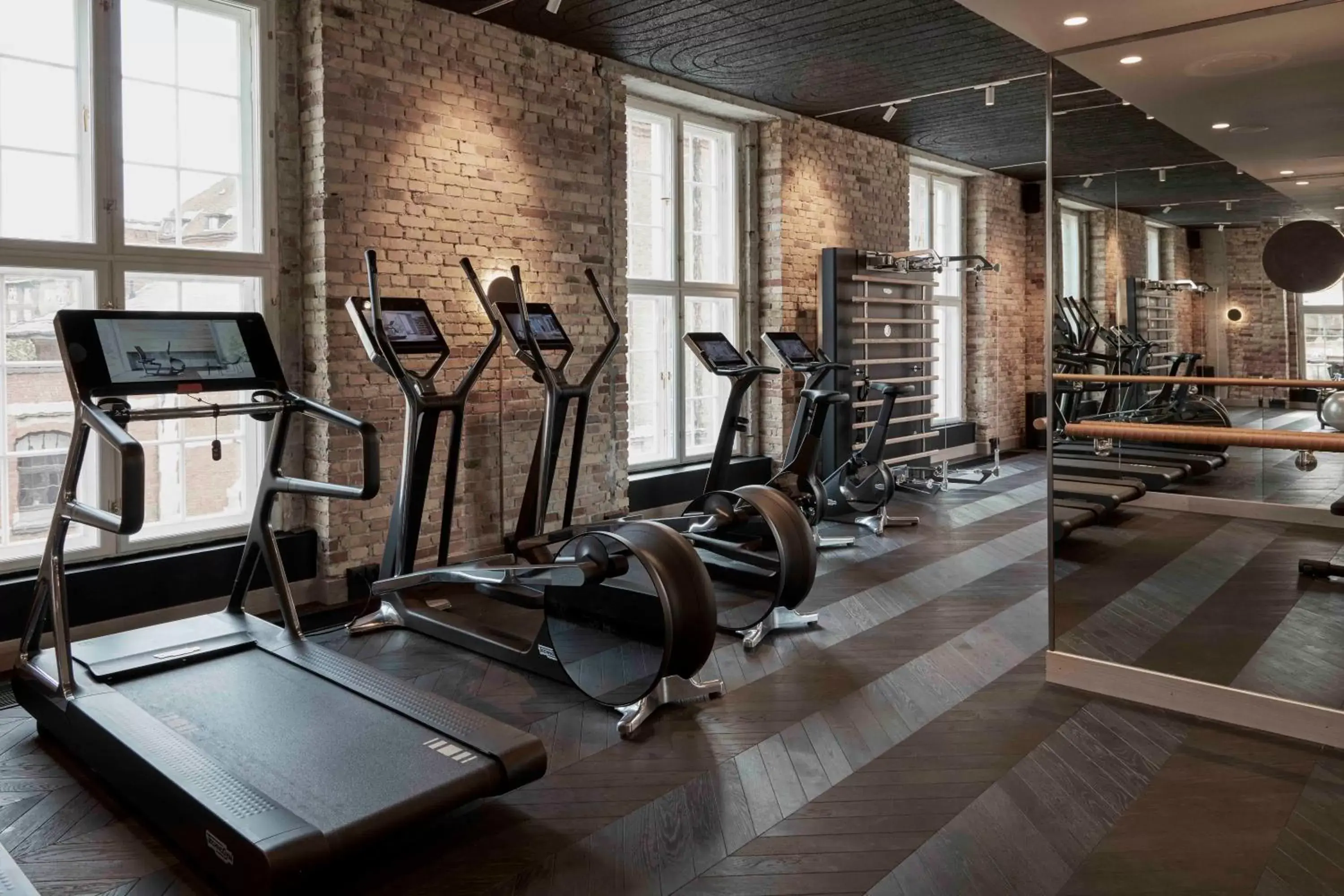 Fitness centre/facilities, Fitness Center/Facilities in Villa Copenhagen