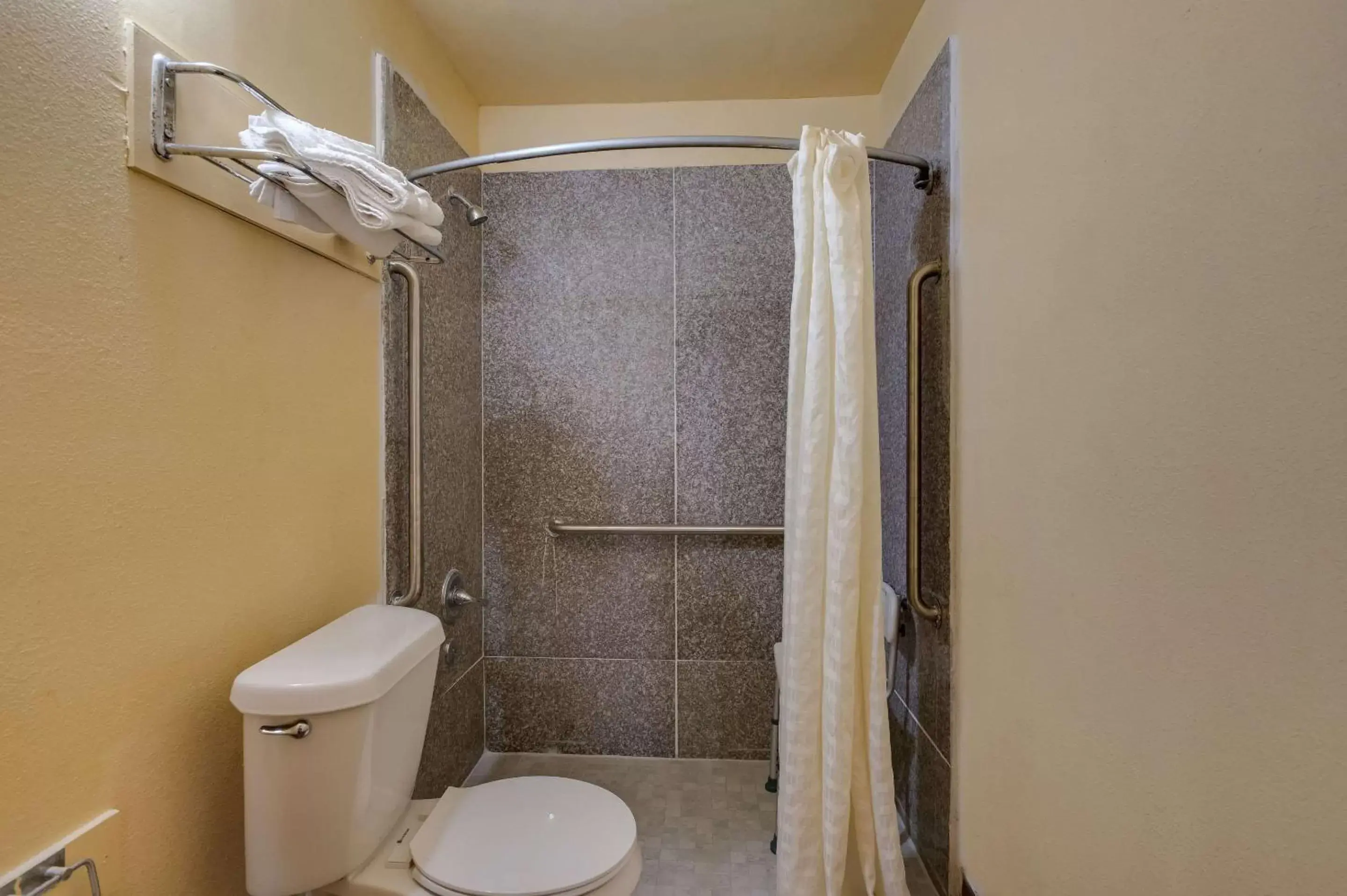 Bedroom, Bathroom in Rodeway Inn & Suites East