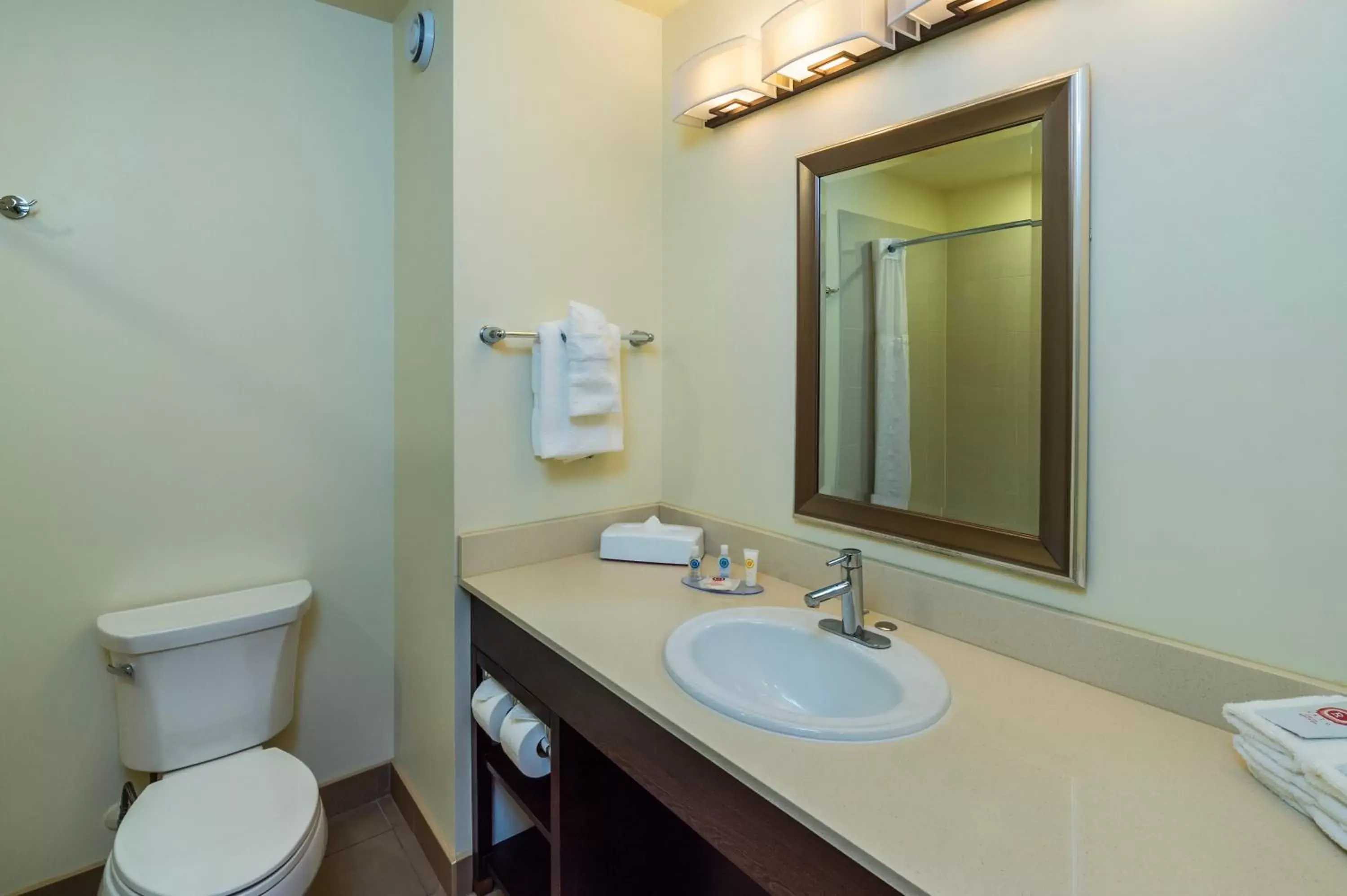 Bathroom in Comfort Inn & Suites Terrace
