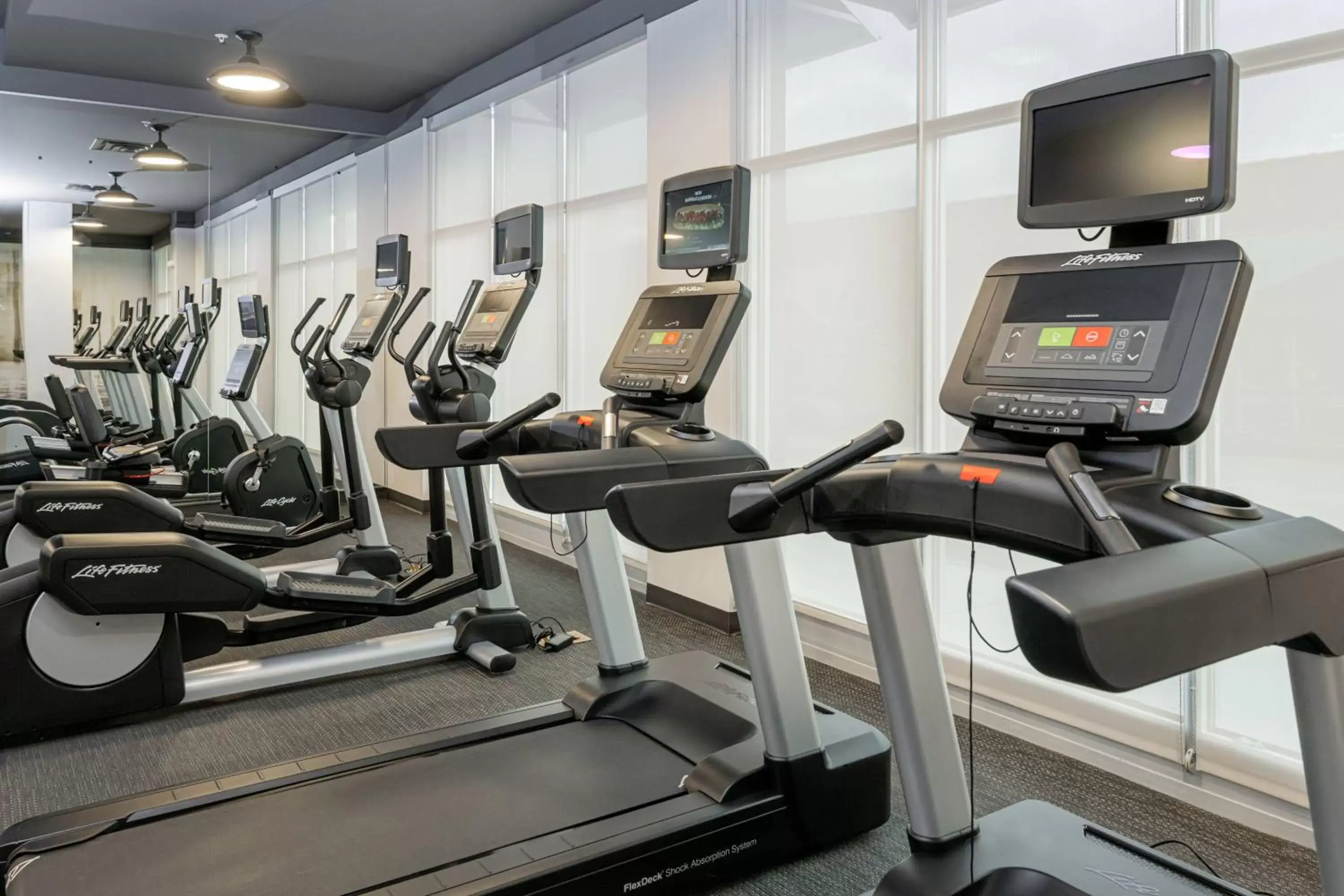 Fitness centre/facilities, Fitness Center/Facilities in Courtyard Asheville Biltmore Village