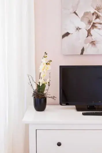 Decorative detail, TV/Entertainment Center in Buchholz Downtown Hotel