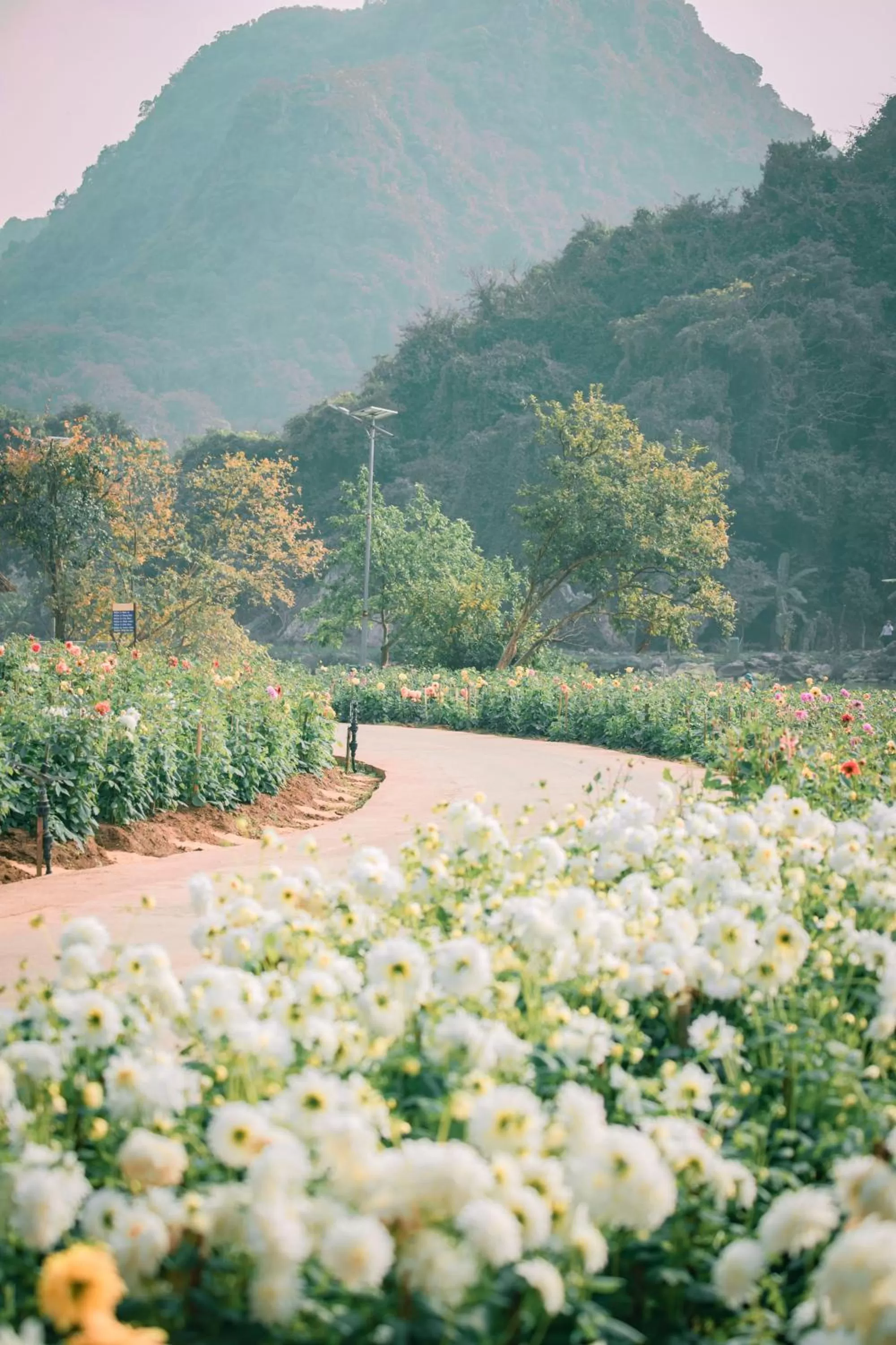 Natural landscape in Thung Nham Resort