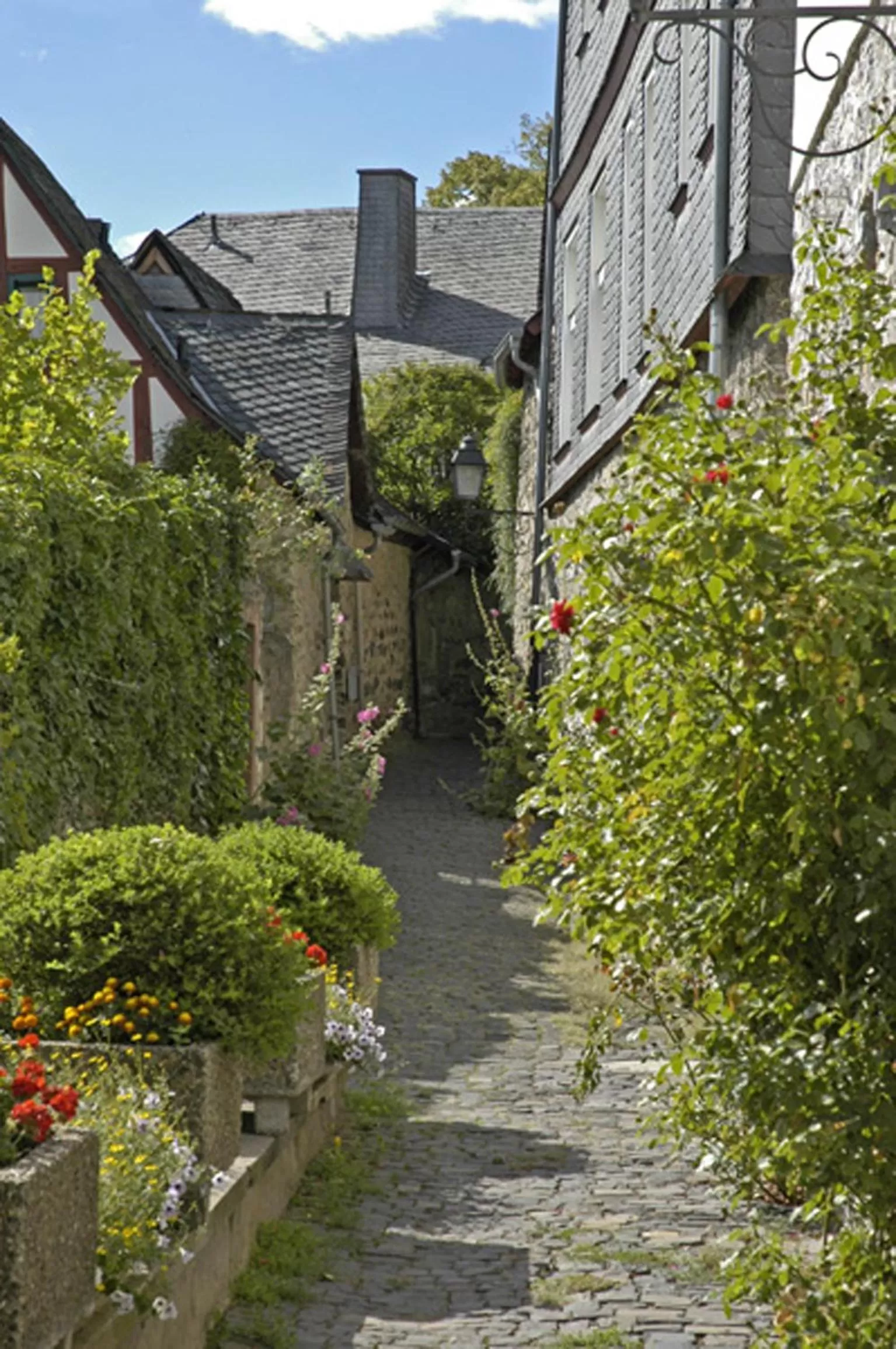 Nearby landmark in DOM Hotel LIMBURG