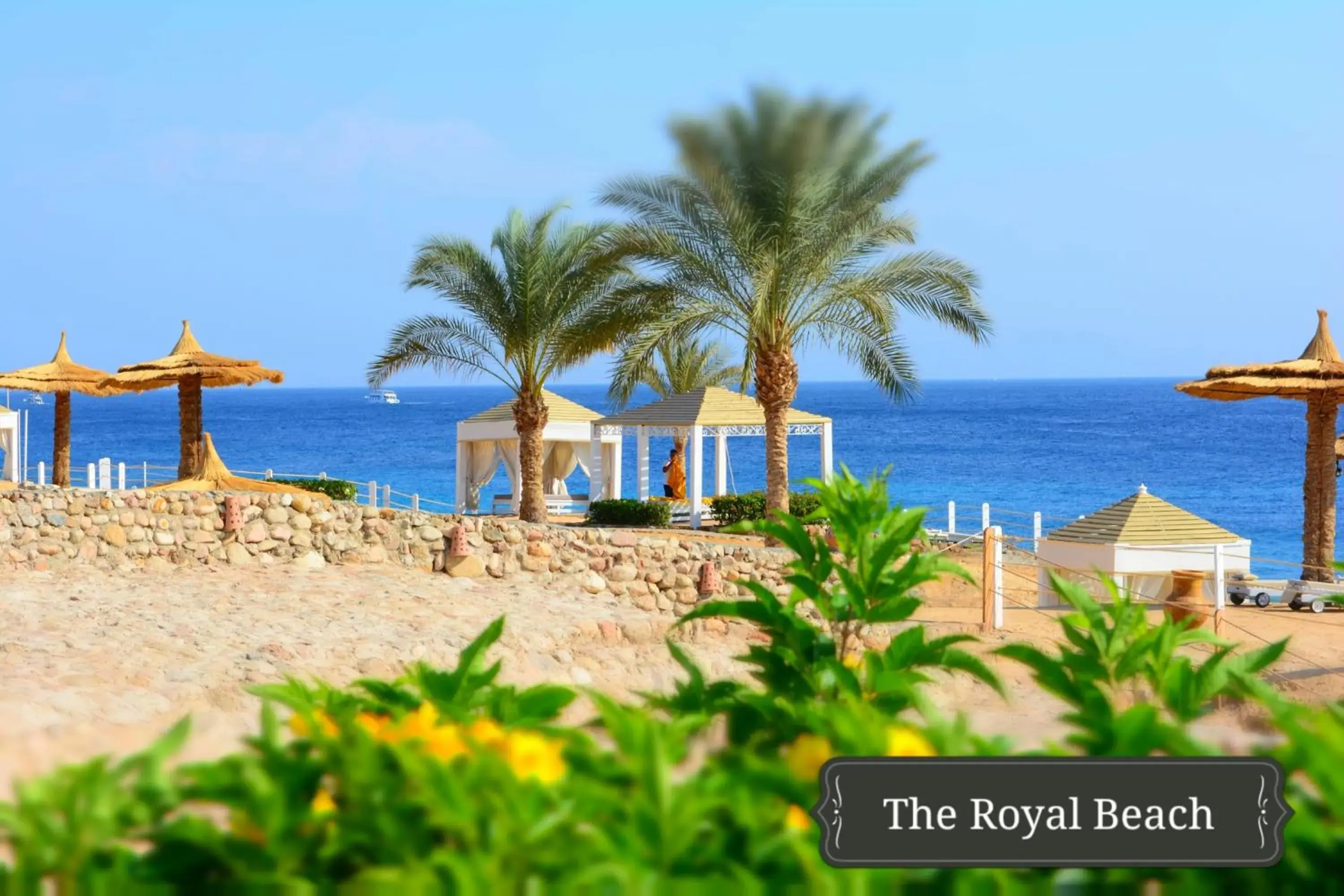 Beach in Royal Monte Carlo Sharm Villas & Suites