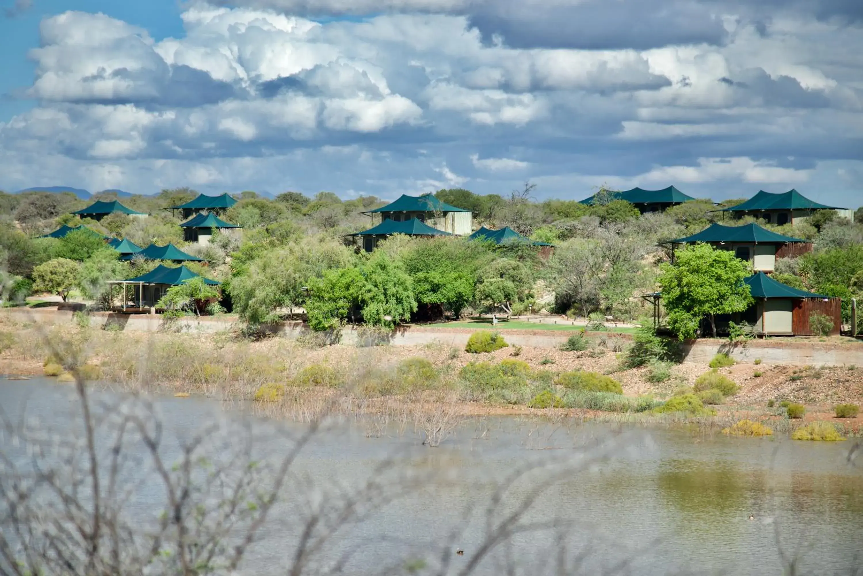 View (from property/room) in Buffelsdrift Game Lodge