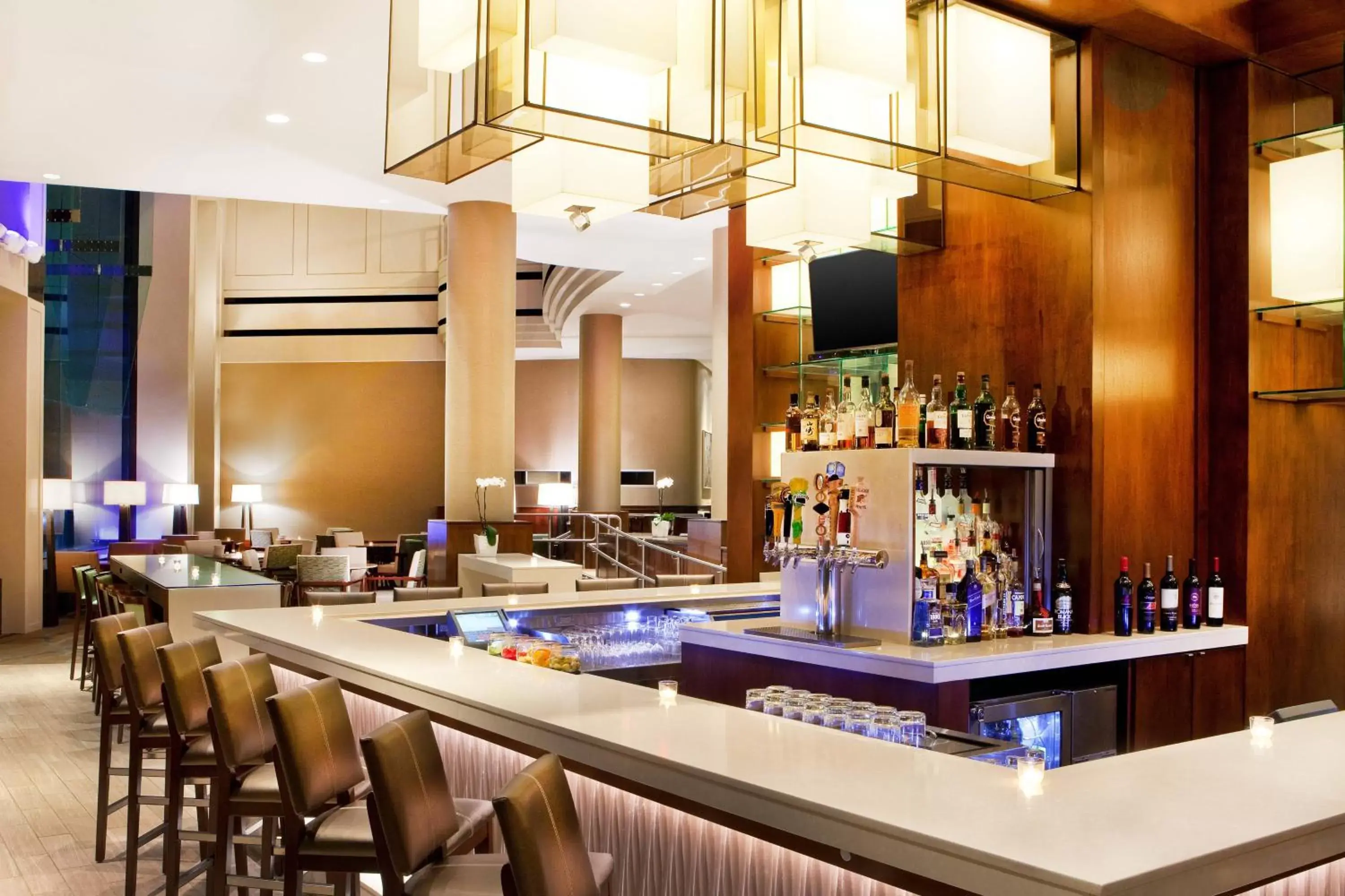 Restaurant/places to eat, Lounge/Bar in The Westin Waltham Boston