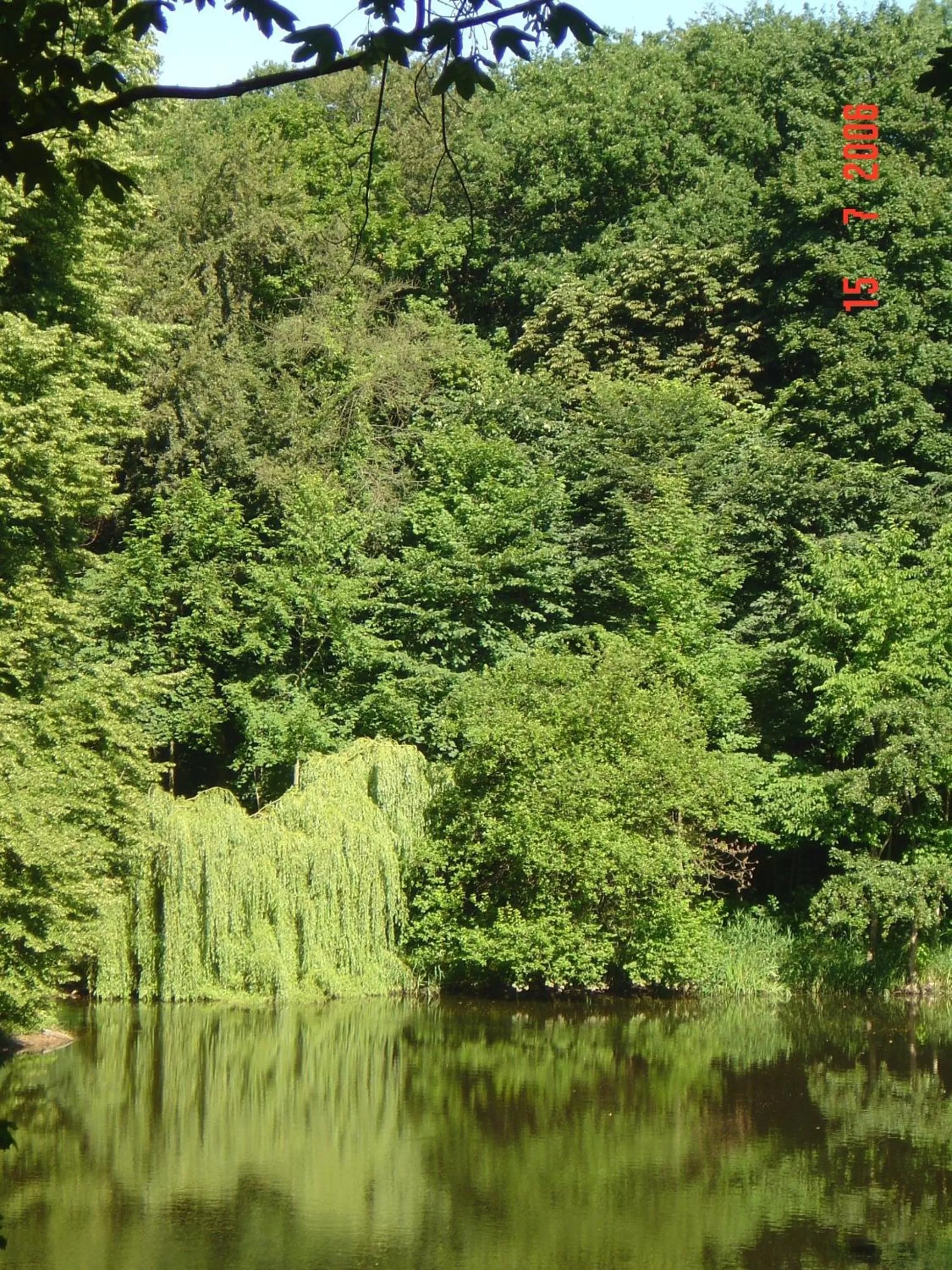 View (from property/room) in Carmina am See