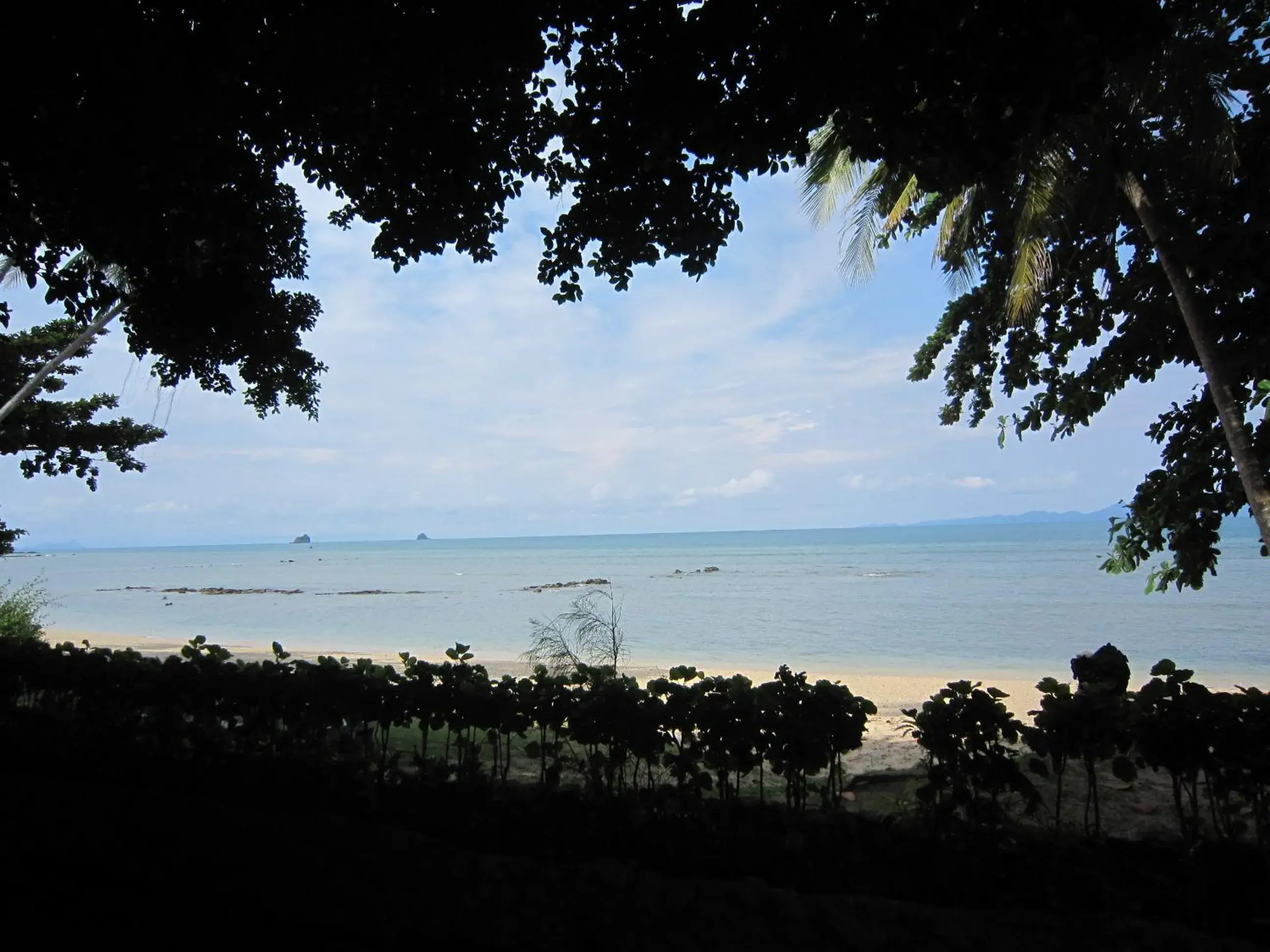 Sea view in Pine Bungalow Krabi