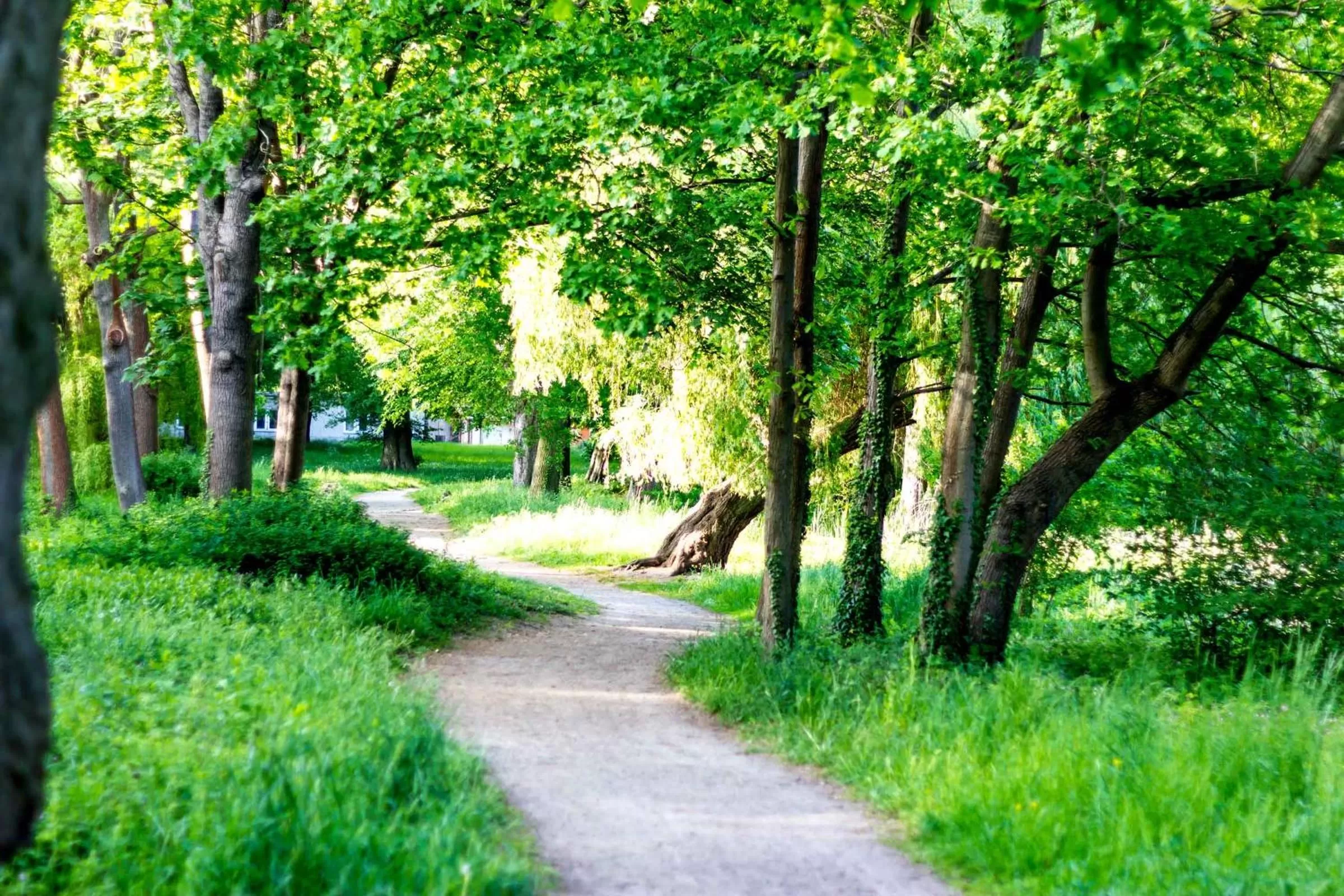 Garden in Gästehaus Schloss Plaue